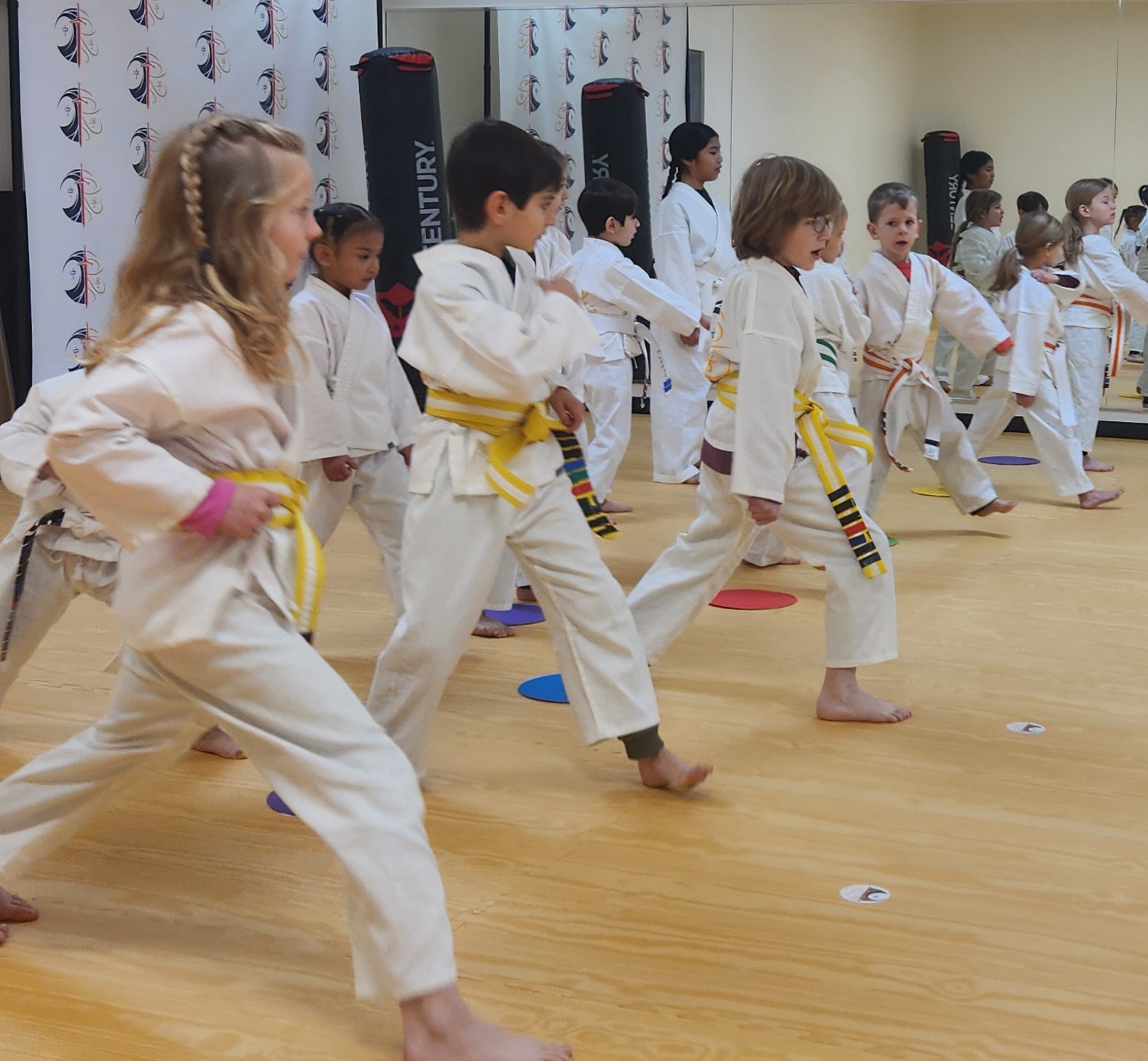 Still Water Martial Arts, Martial Arts in Arlington Heights, IL - photo 8