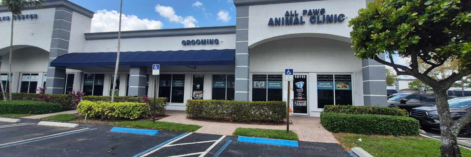 All Paws Animal Clinic cover photo