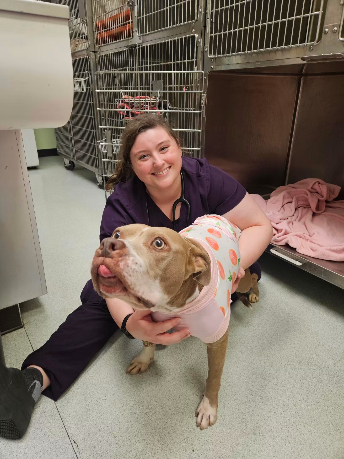 All Paws Animal Clinic, Veterinarians in Royal Palm Beach, FL - photo 2