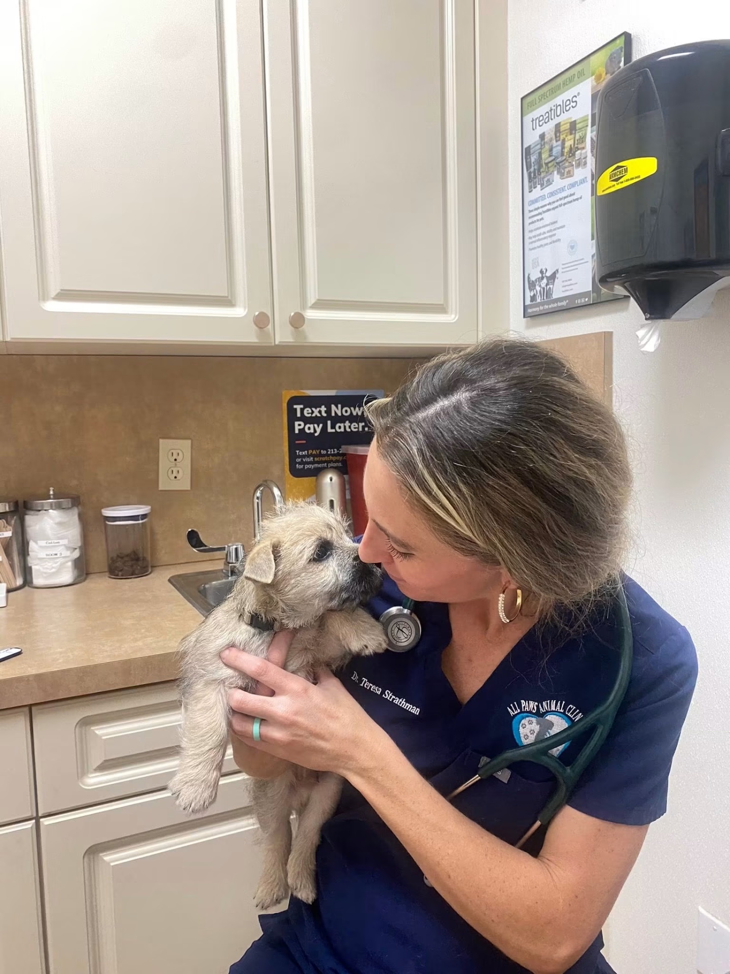 All Paws Animal Clinic, Veterinarians in Royal Palm Beach, FL - photo 4
