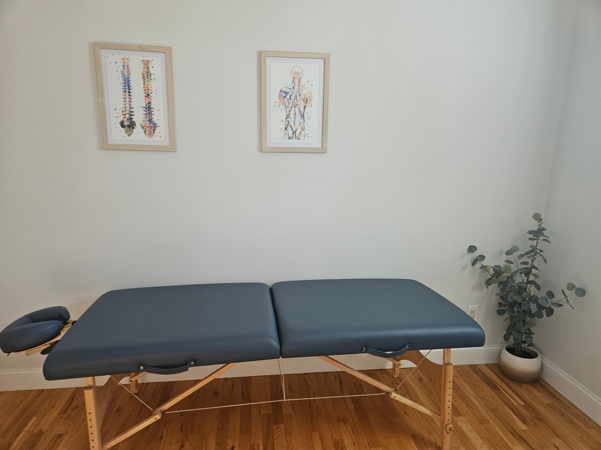 Healthy Movement Physical Therapy, Physical Therapy in St. James, NY - photo 2