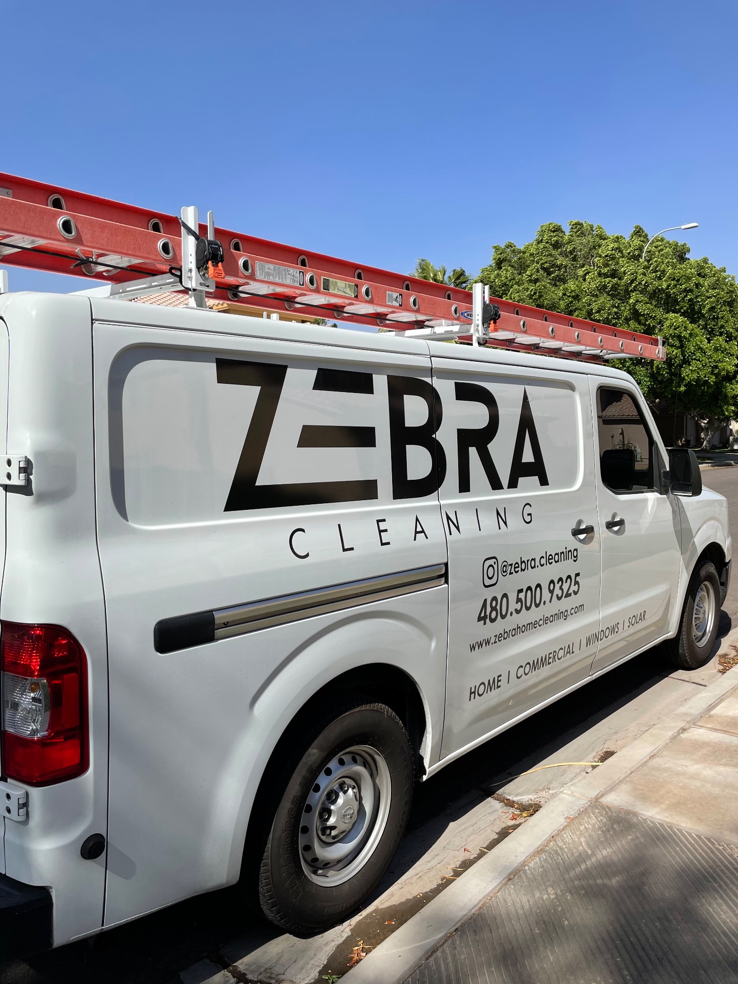 Zebra Cleaning, Carpet Cleaning in Mesa, AZ - photo 3