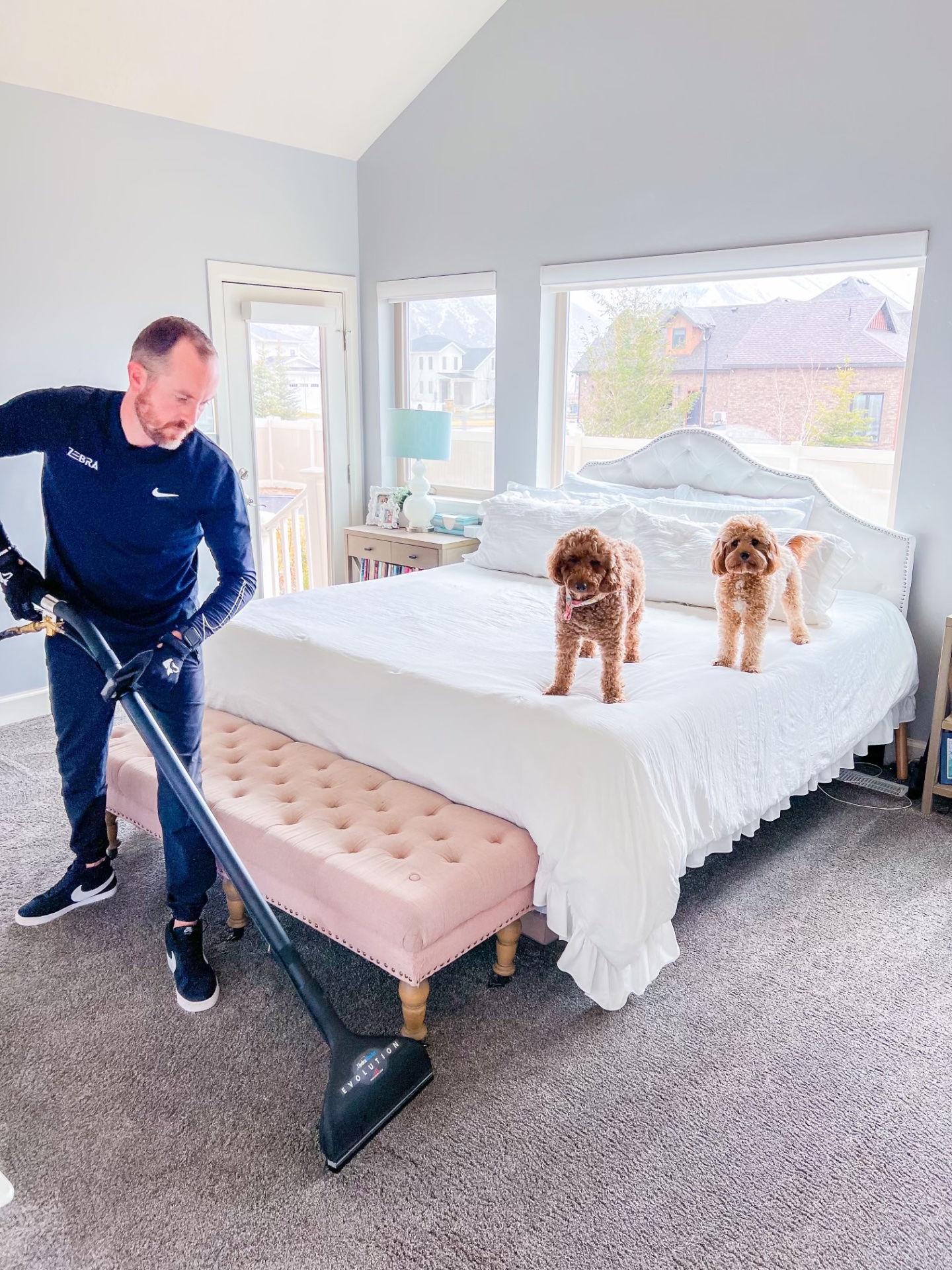 Zebra Cleaning, Carpet Cleaning in Mesa, AZ - photo 5