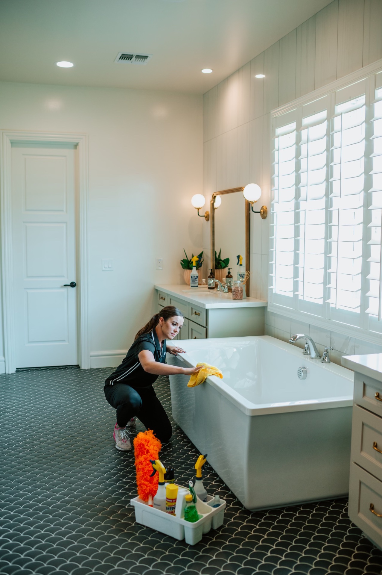 Zebra Cleaning, Carpet Cleaning in Mesa, AZ - photo 6