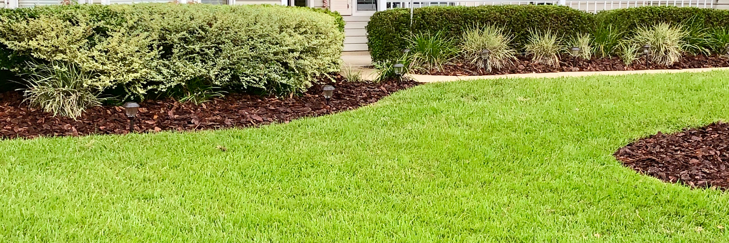 Olmos Lawn Services LLC cover photo