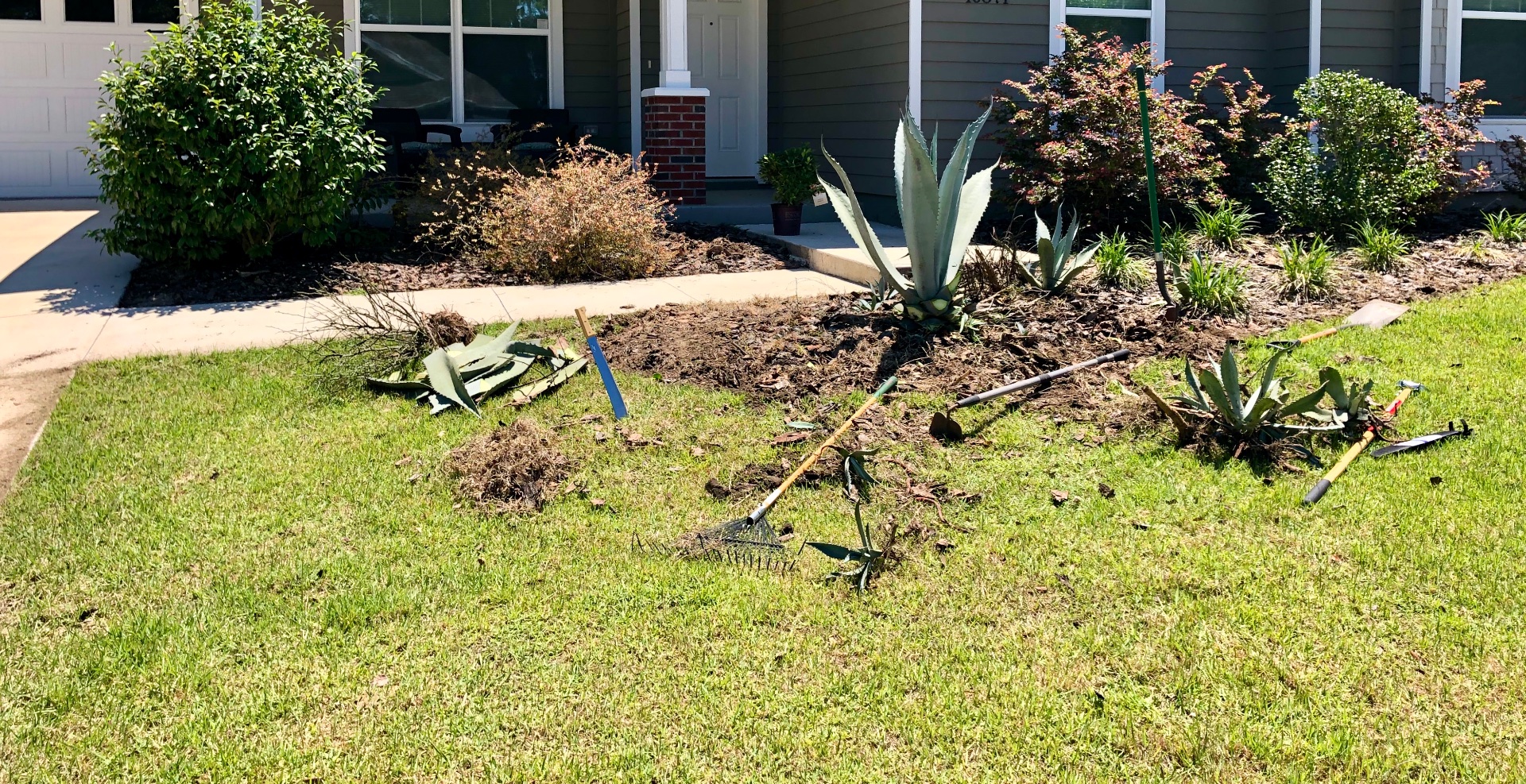 Olmos Lawn Services LLC, Lawn Mowing and Trimming in Gainesville, FL - photo 2