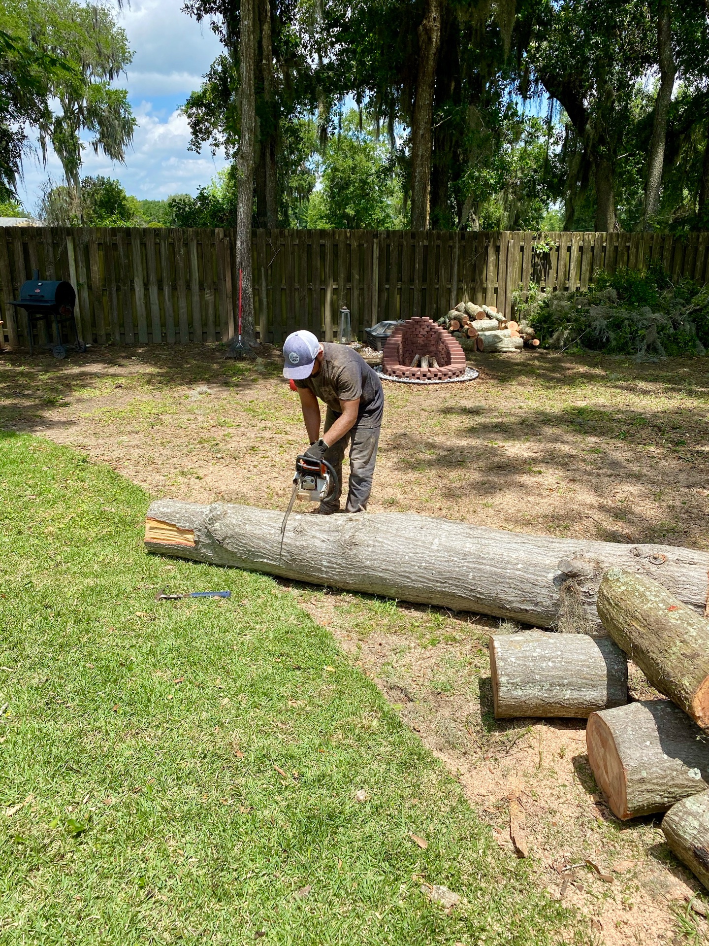 Olmos Lawn Services LLC, Lawn Mowing and Trimming in Gainesville, FL - photo 4