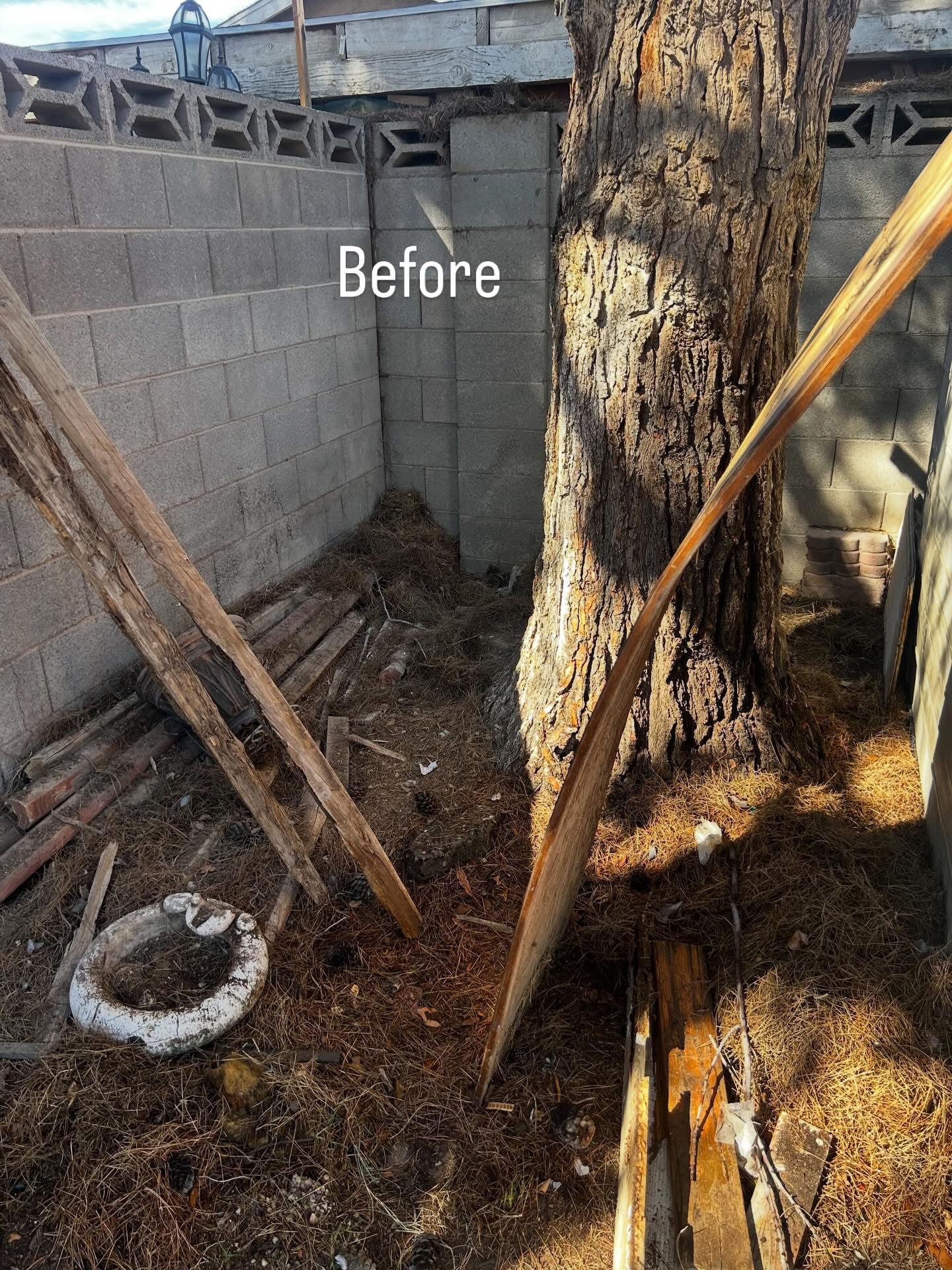 ElDorado Junk Solutions LLC, Junk Removal in Las Vegas, NV - photo 3