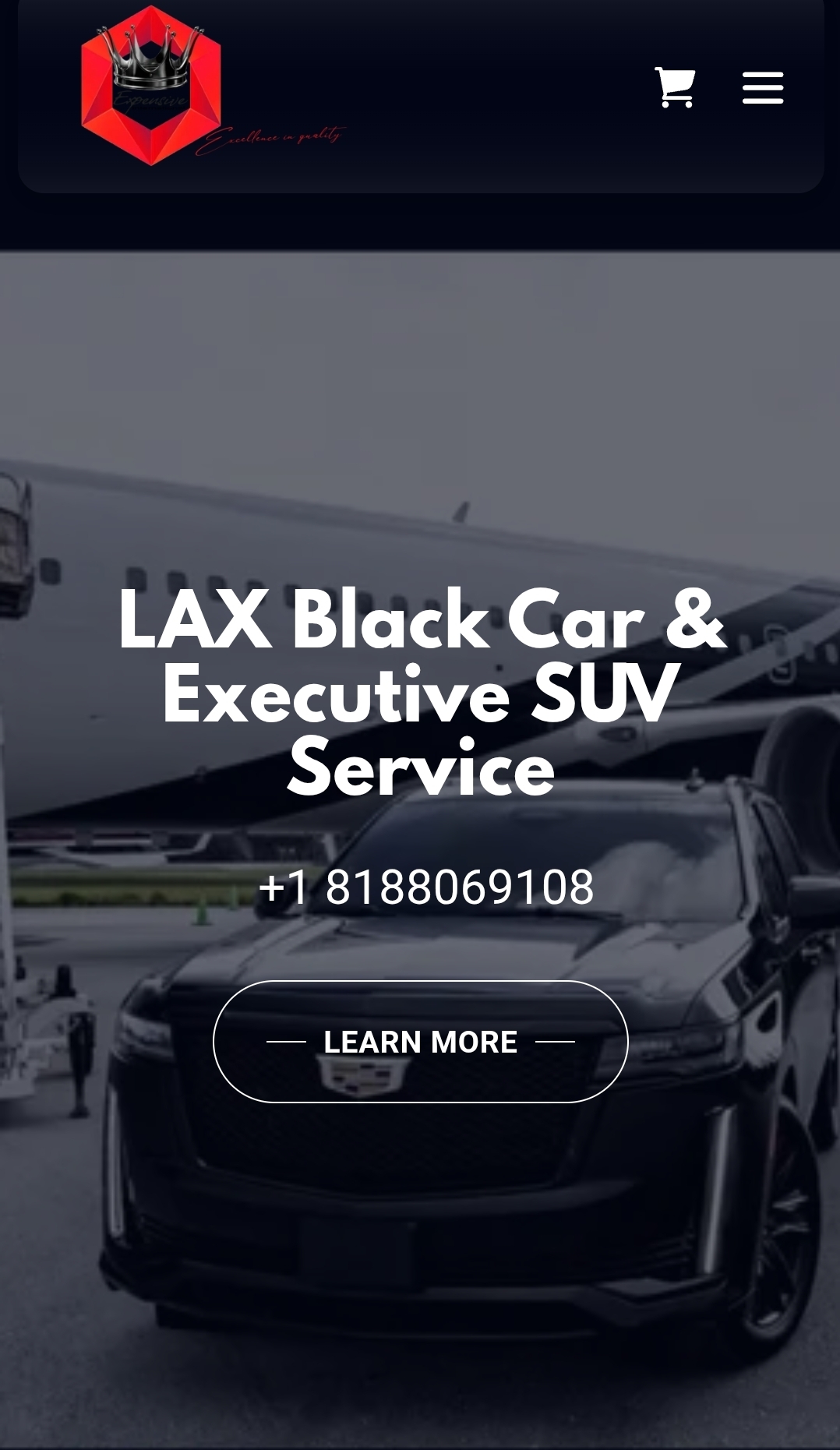 www.PrivateLAX.com, Airport Shuttles in Los Angeles, CA - photo 2