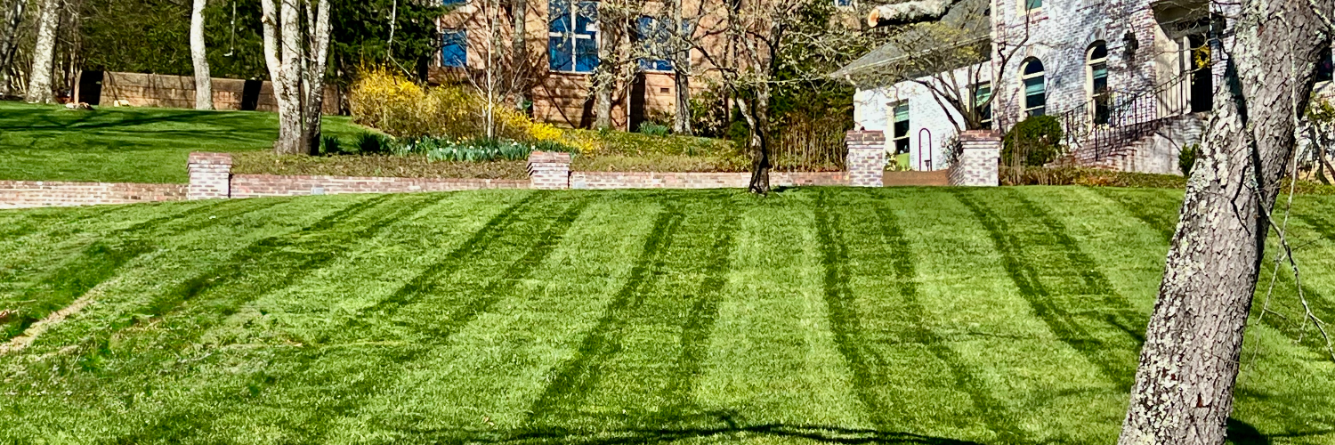 Unique lawns cover photo