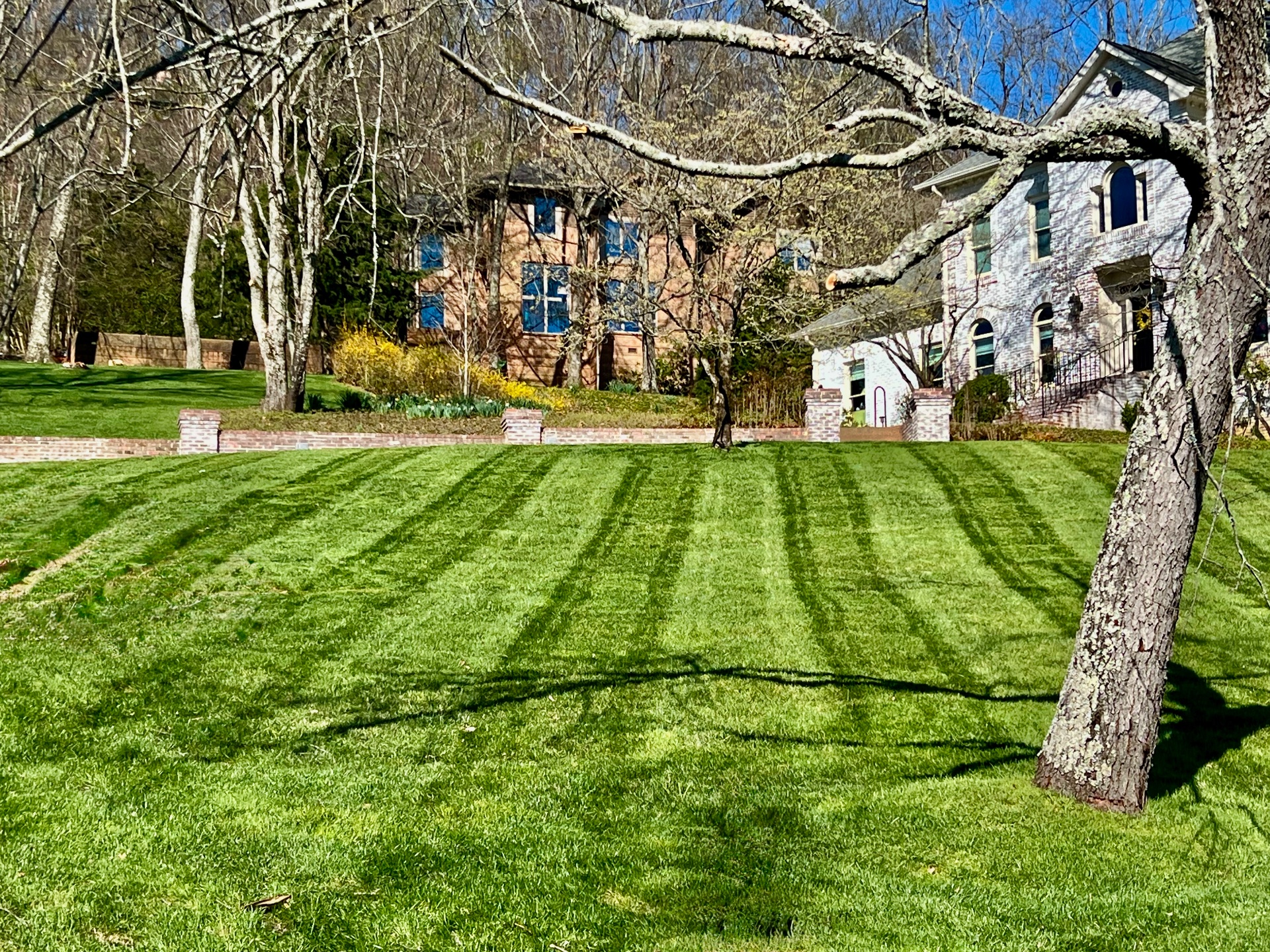 Unique lawns, Lawn Services in Antioch, TN - photo 1