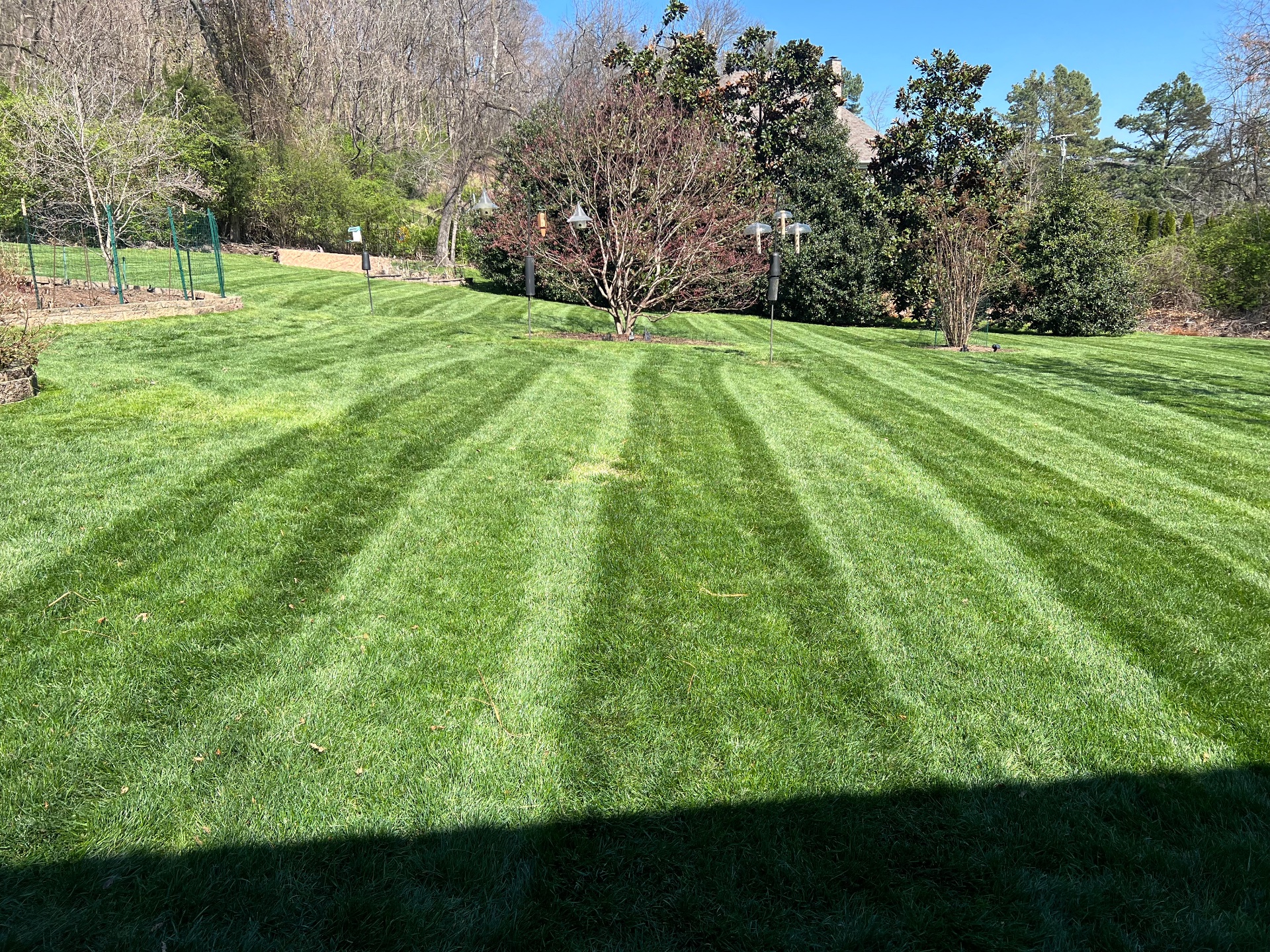 Unique lawns, Lawn Services in Antioch, TN - photo 2