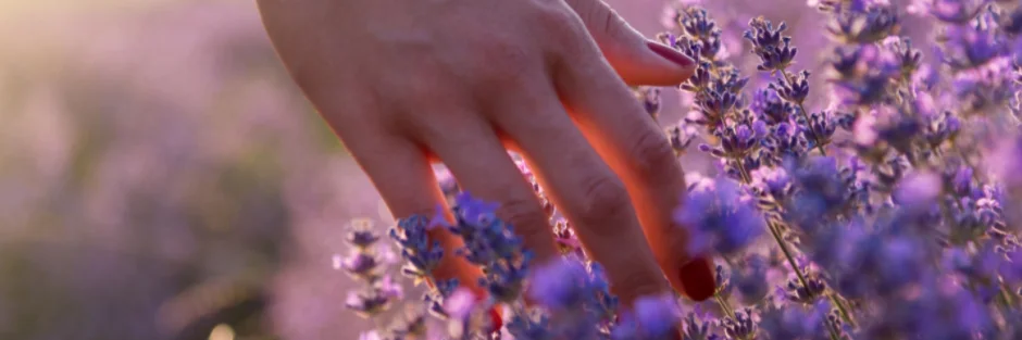 Time to Bloom Christian Growth and Recovery cover photo