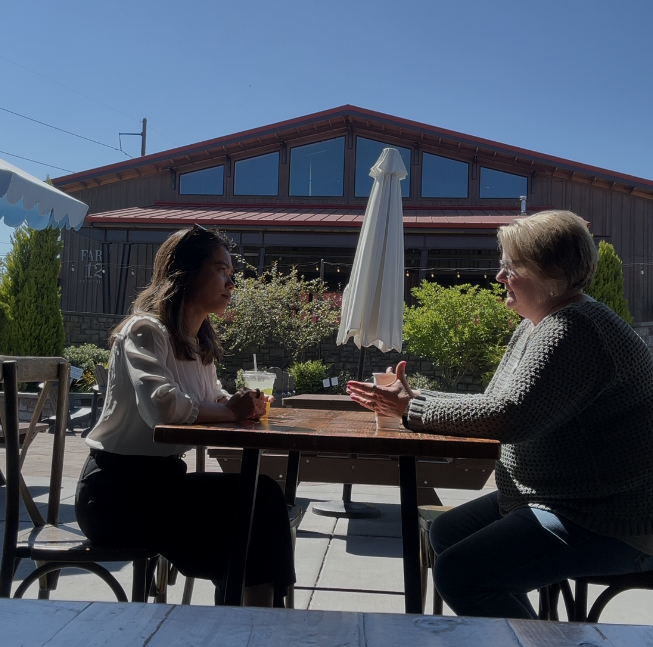Silver Fern HR Consulting, CHRO Services in Edgewood, WA - photo 1