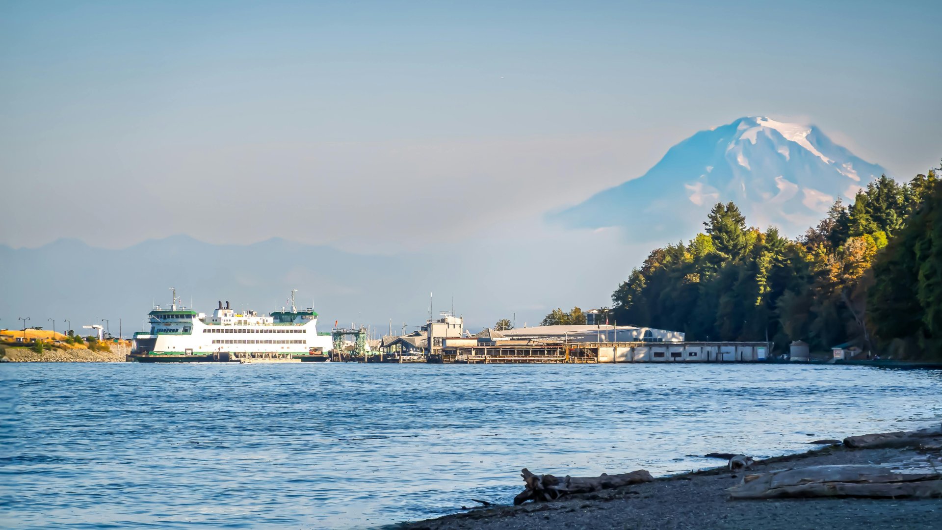 Silver Fern HR Consulting, CHRO Services in Edgewood, WA - photo 3