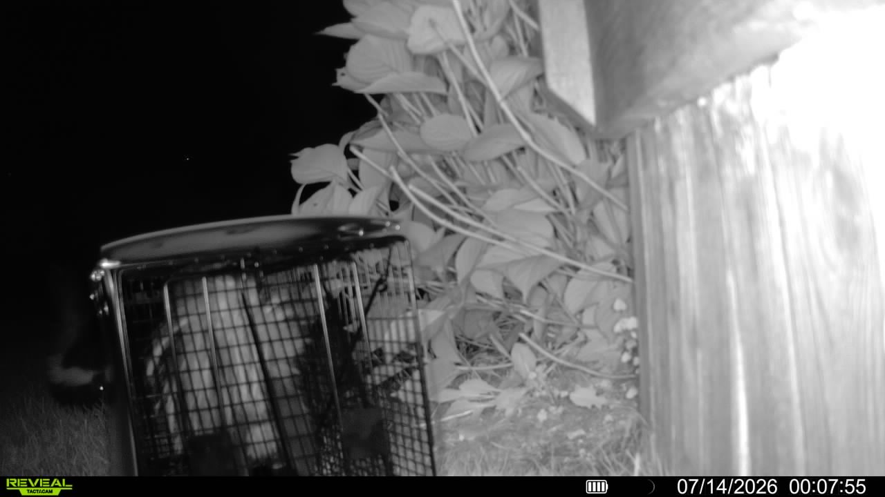 GEN 126 pest control, Pest Control Services in Wheeling, IL - photo 2