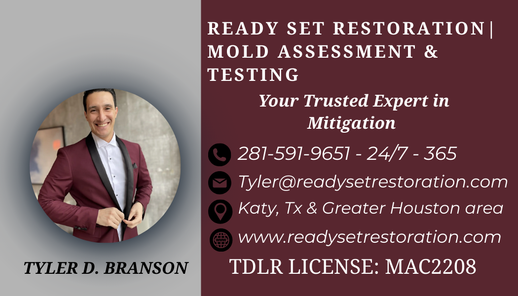 Ready Set Restoration | Mold Assessment & Testing cover photo
