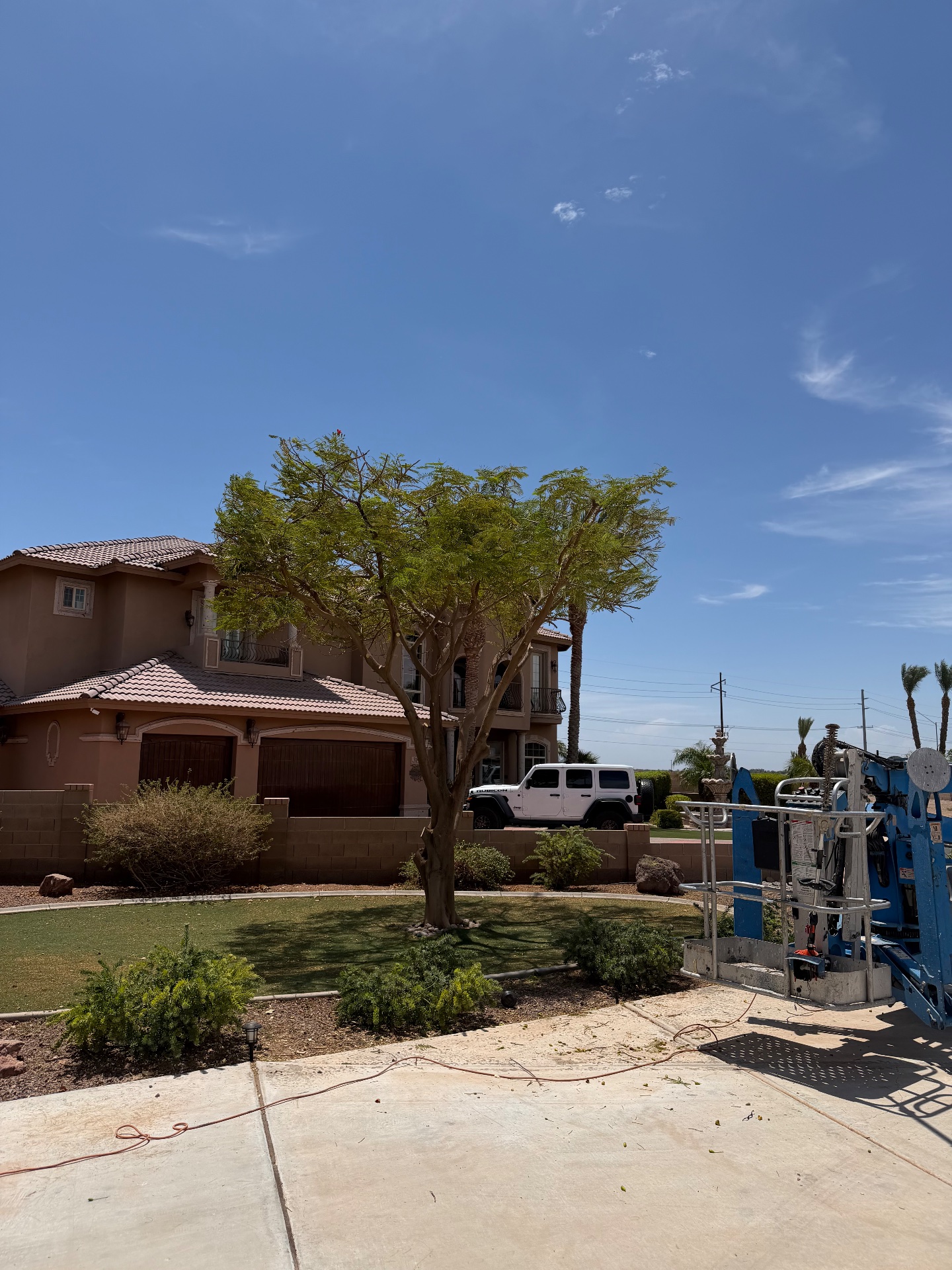 Longo Property Solutions, Artificial Turf in Yuma, AZ - photo 5