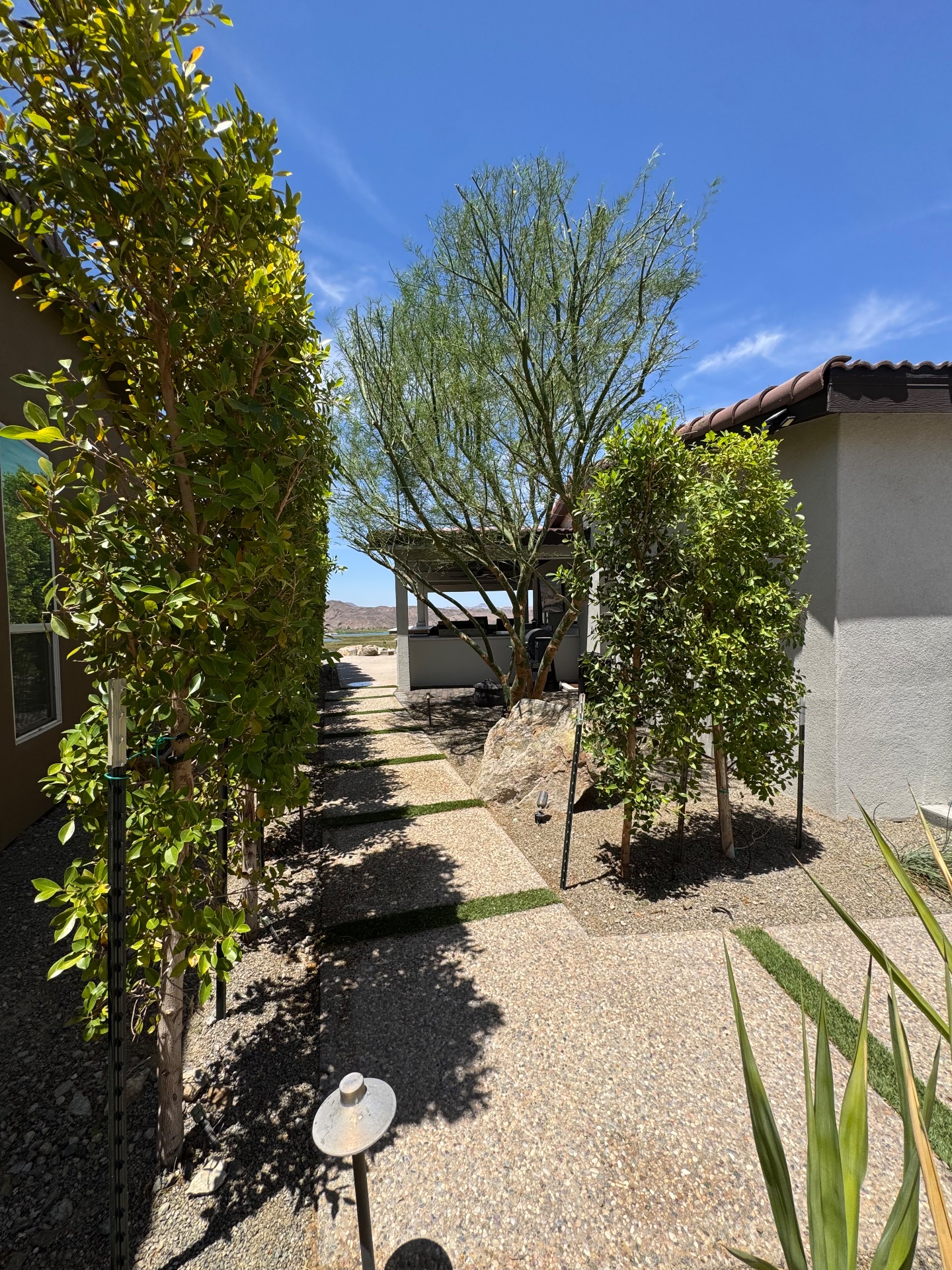 Longo Property Solutions, Artificial Turf in Yuma, AZ - photo 6