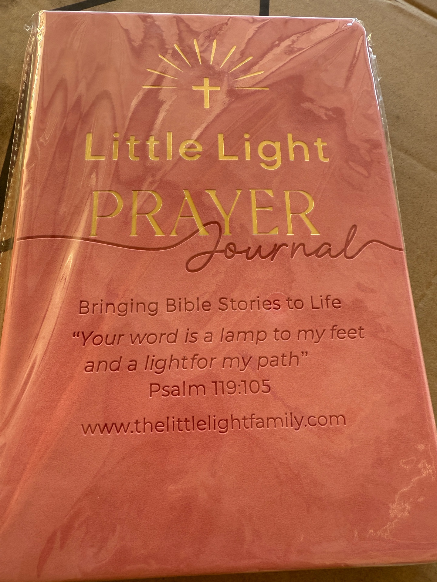 Little Light, Children's Christian Books in Katy, TX - photo 4