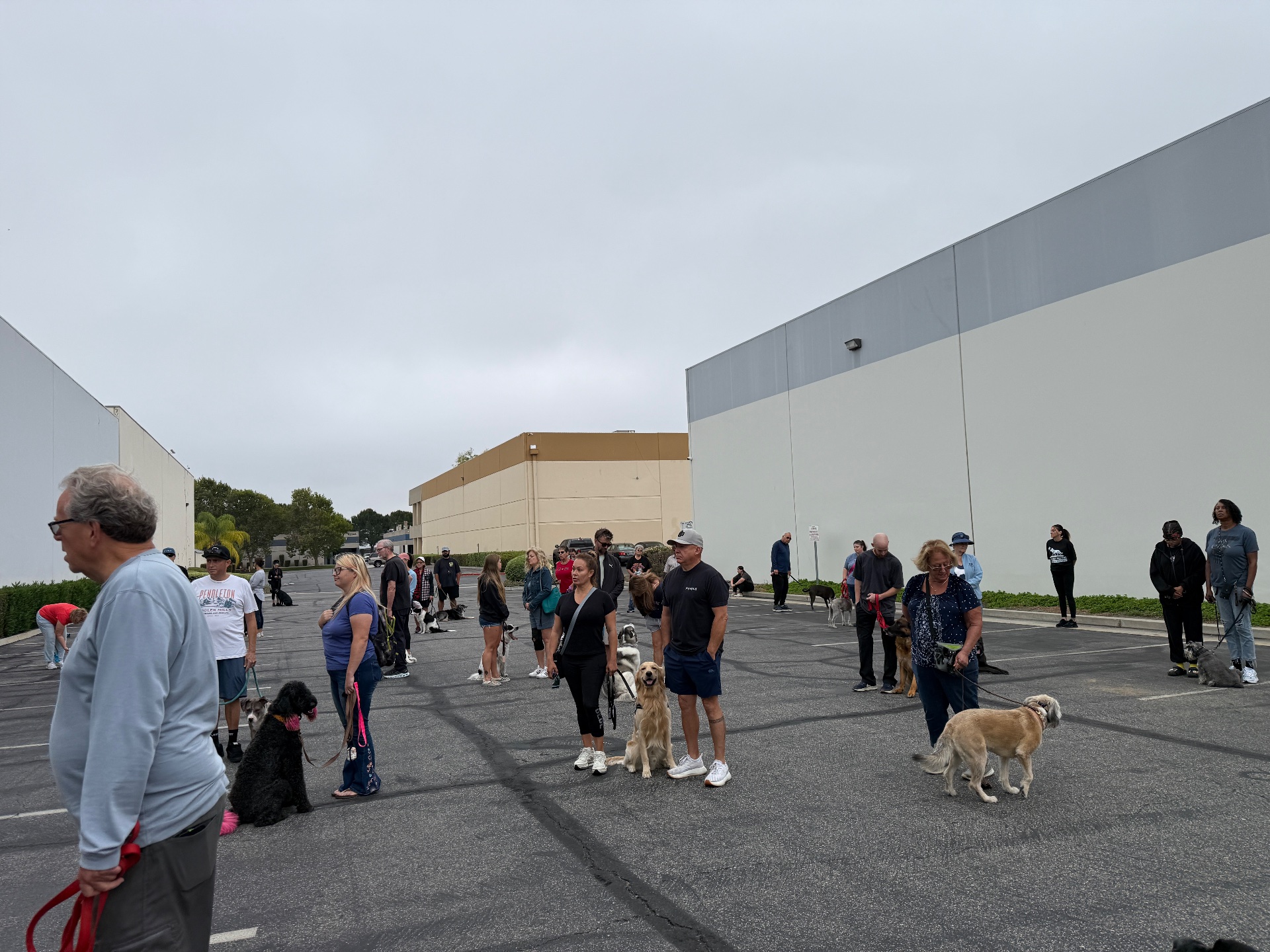 Epic Dog Academy, Pet Boarding in Temecula, CA - photo 8