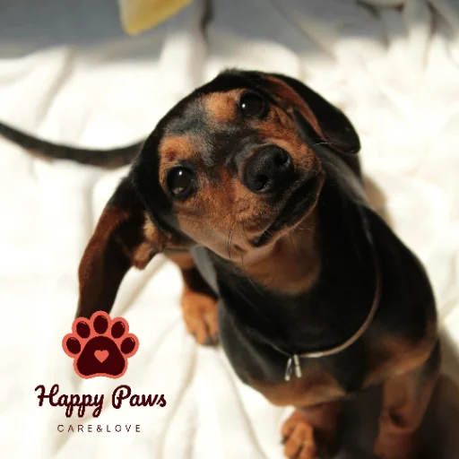 Happy Paws Mia