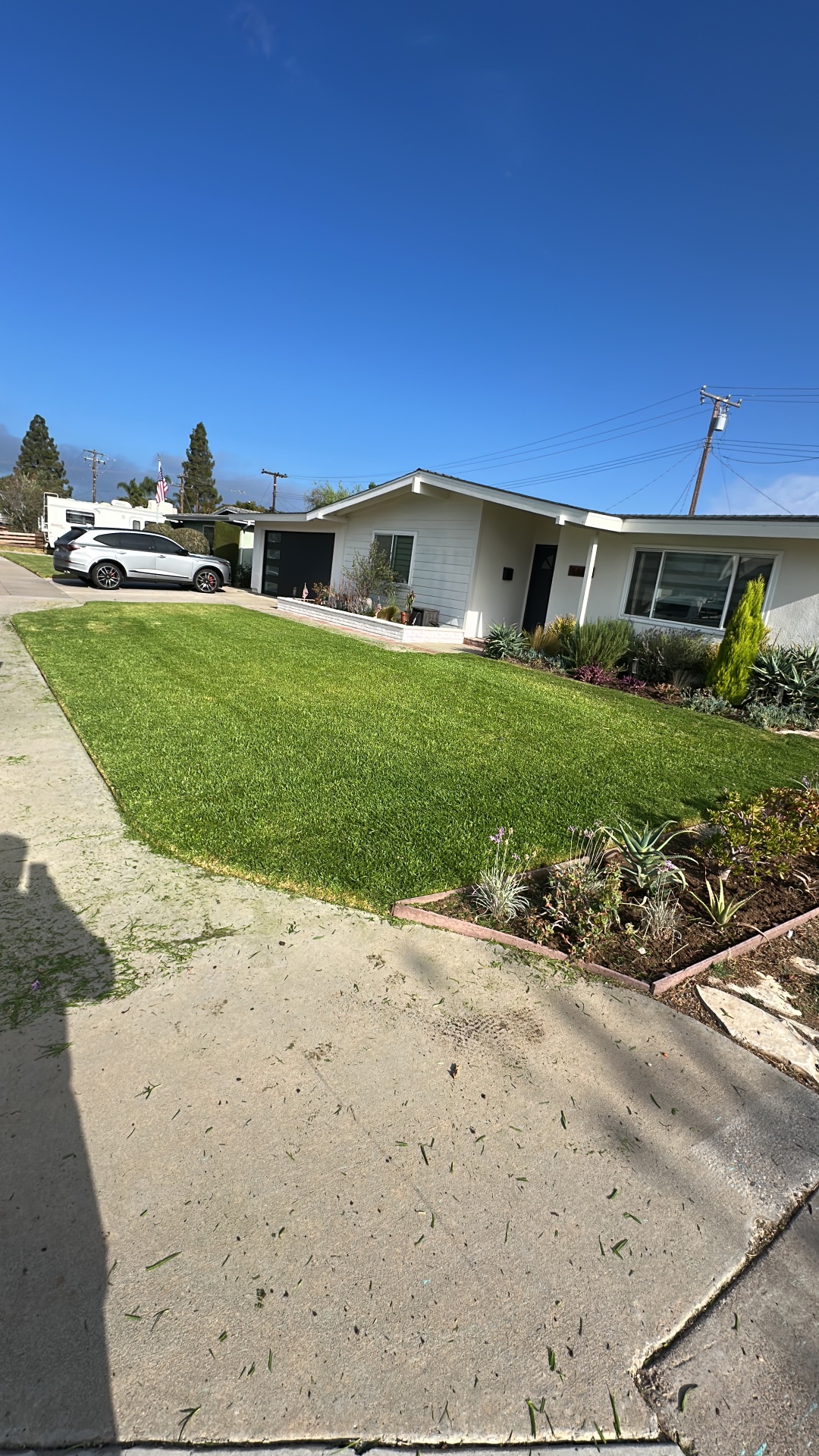 Dominguez gardening, Nurseries & Gardening in Costa Mesa, CA - photo 1