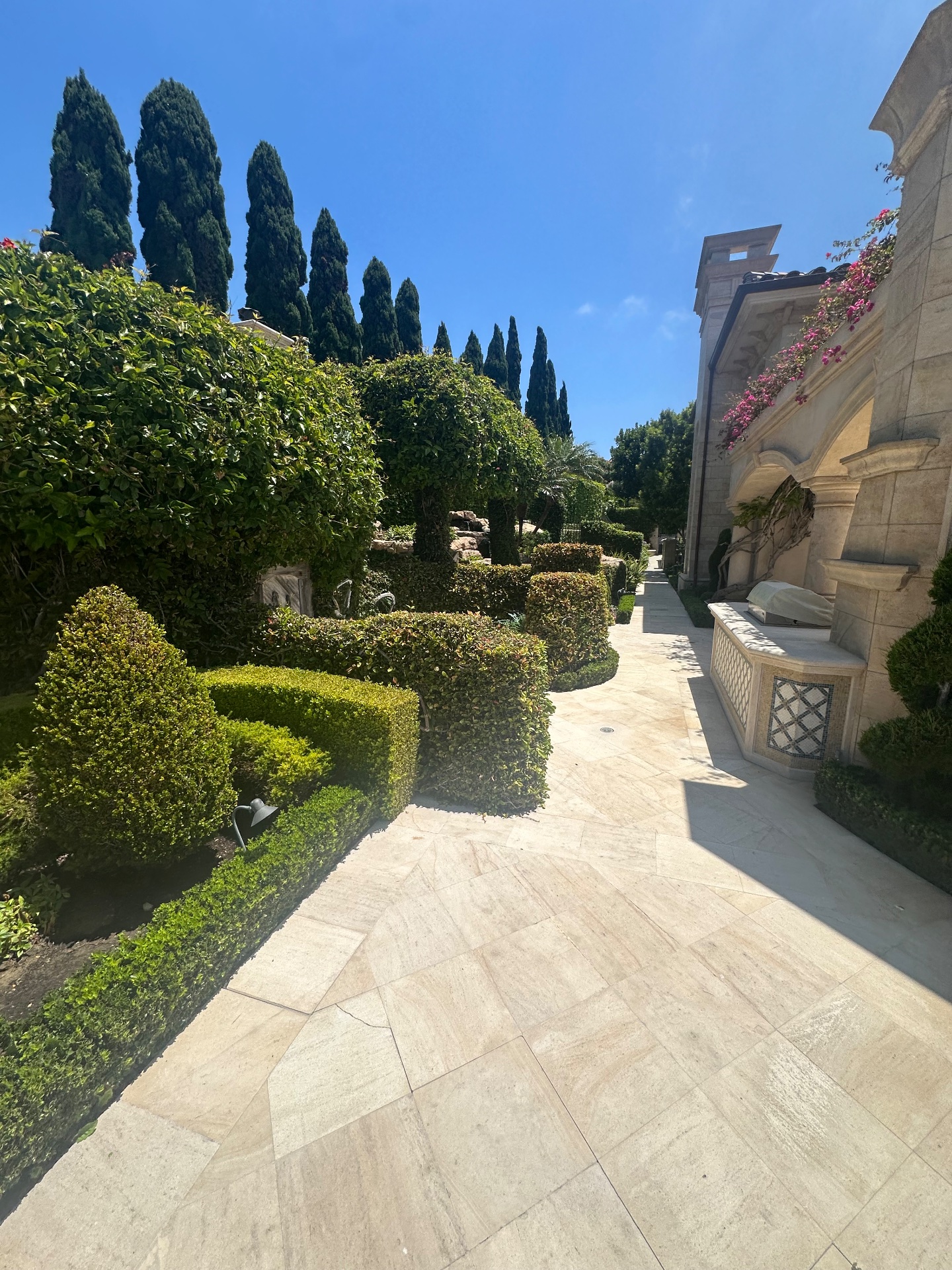 Dominguez gardening, Nurseries & Gardening in Costa Mesa, CA - photo 2