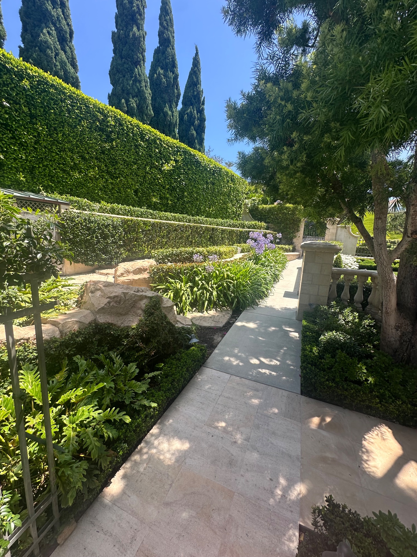 Dominguez gardening, Nurseries & Gardening in Costa Mesa, CA - photo 3