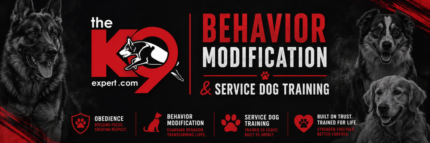 The k9 expert cover photo