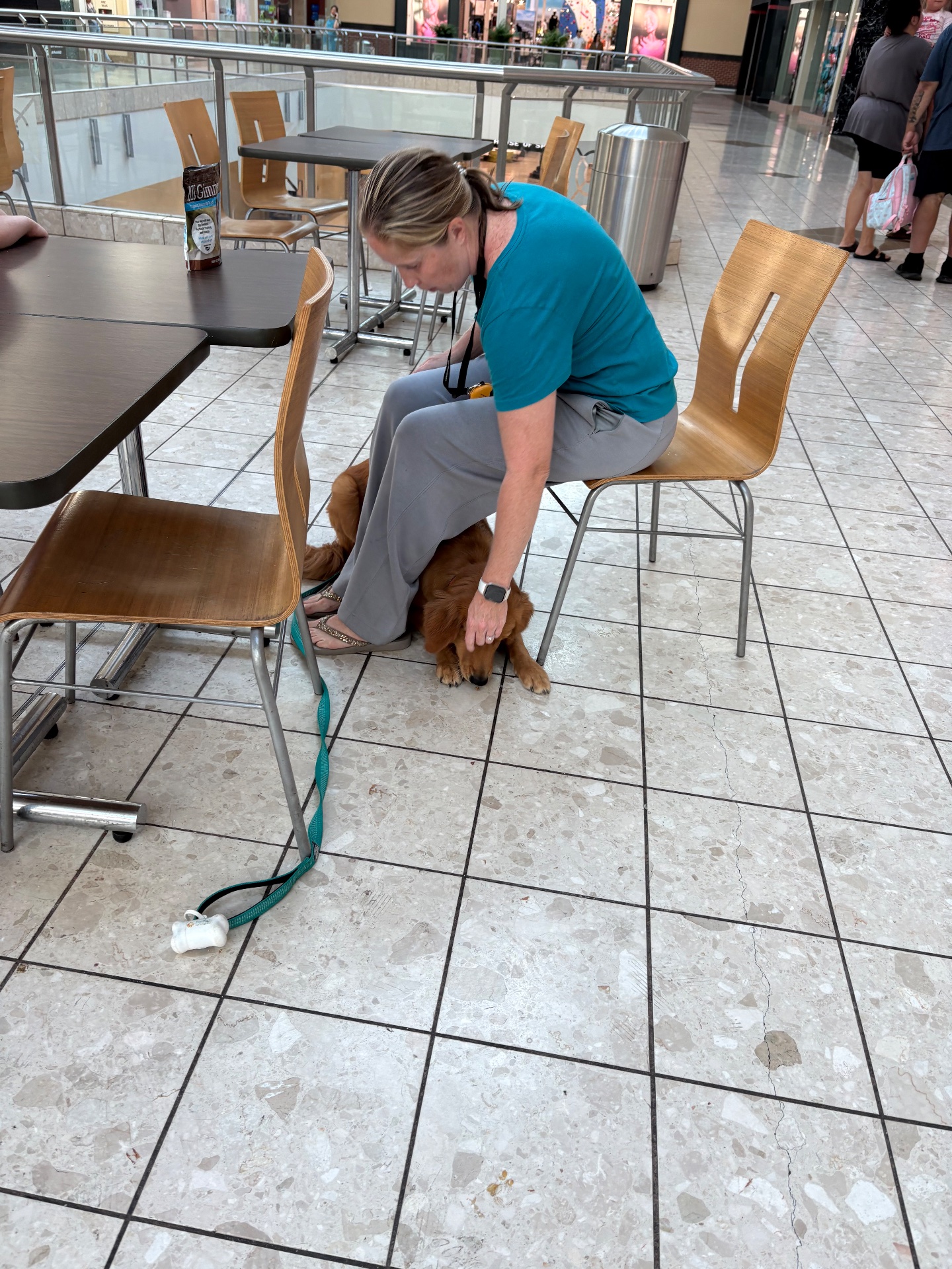 The k9 expert, Dog Training in North Olmsted, OH - photo 2