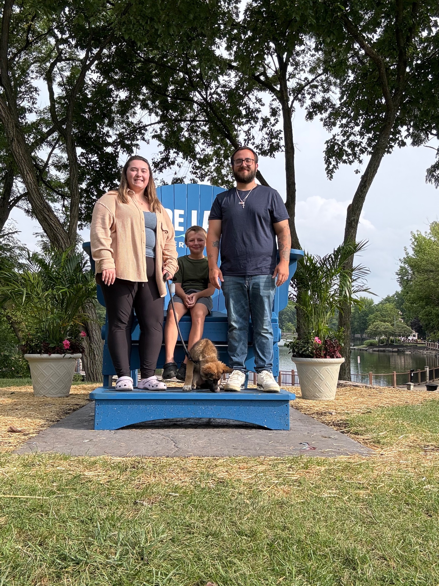 The k9 expert, Dog Training in North Olmsted, OH - photo 3