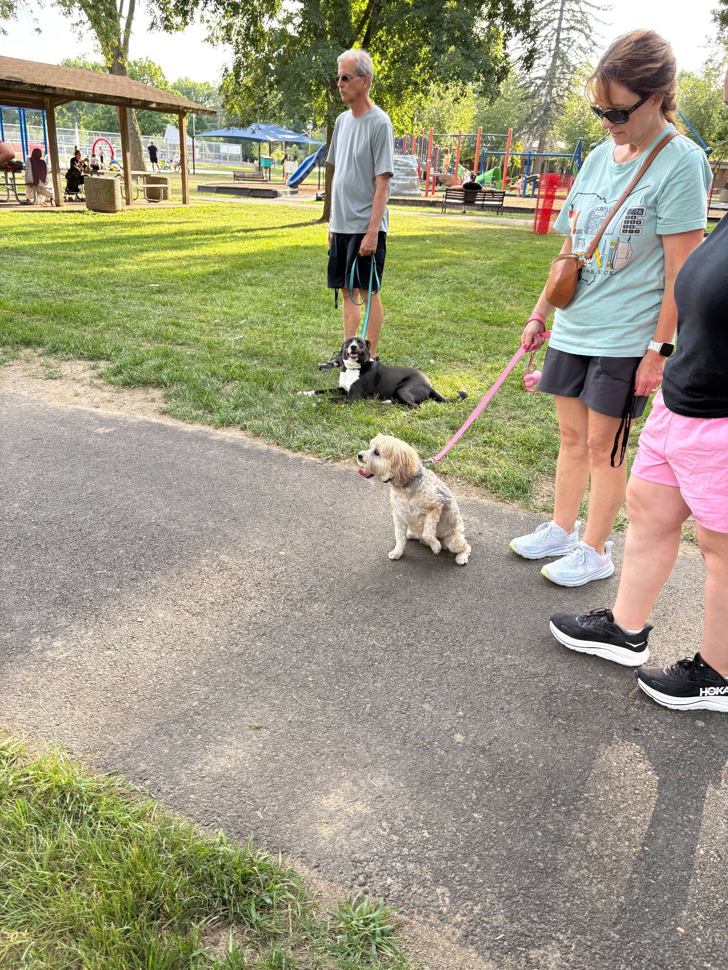 The k9 expert, Dog Training in North Olmsted, OH - photo 4