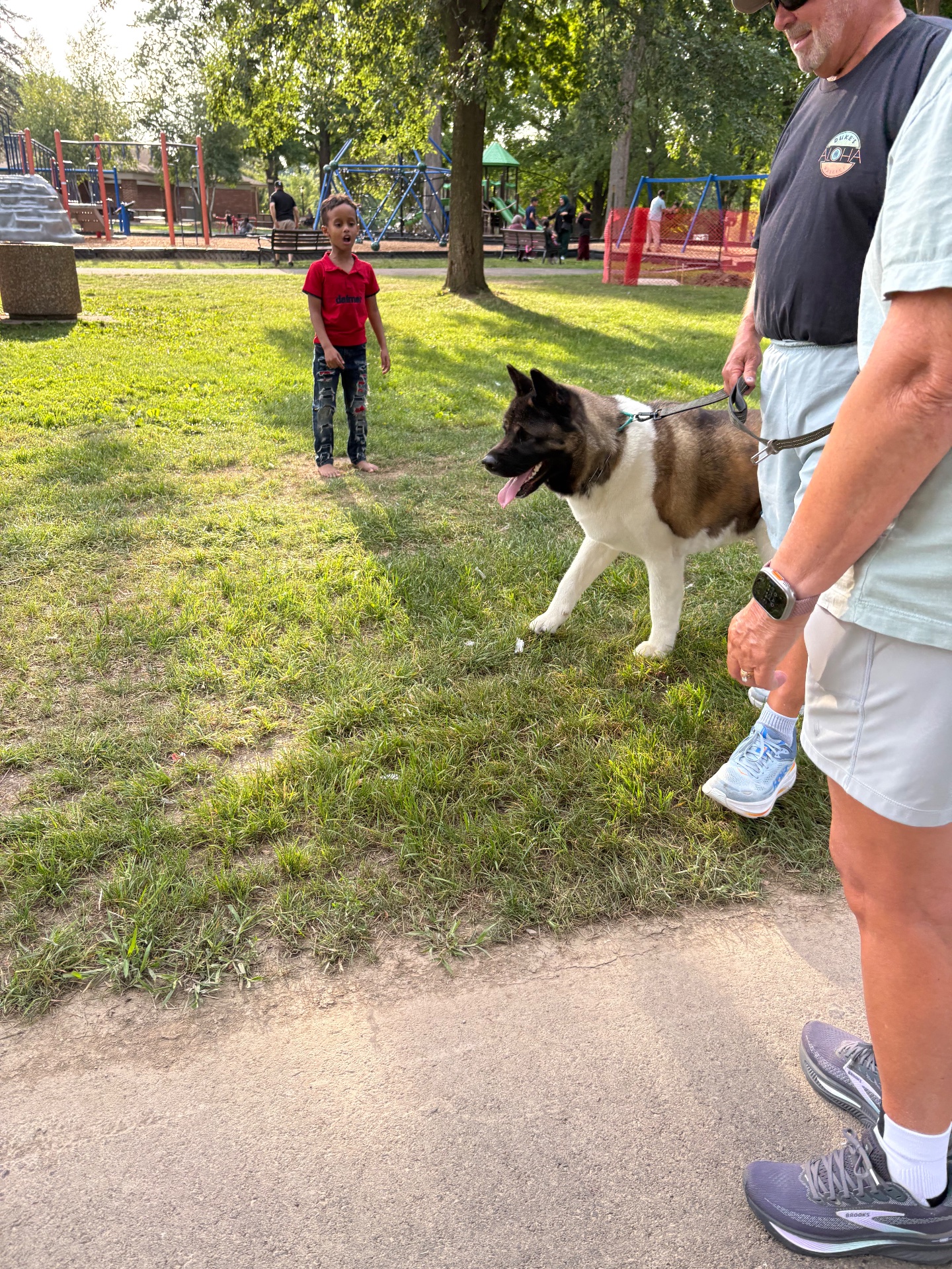 The k9 expert, Dog Training in North Olmsted, OH - photo 5