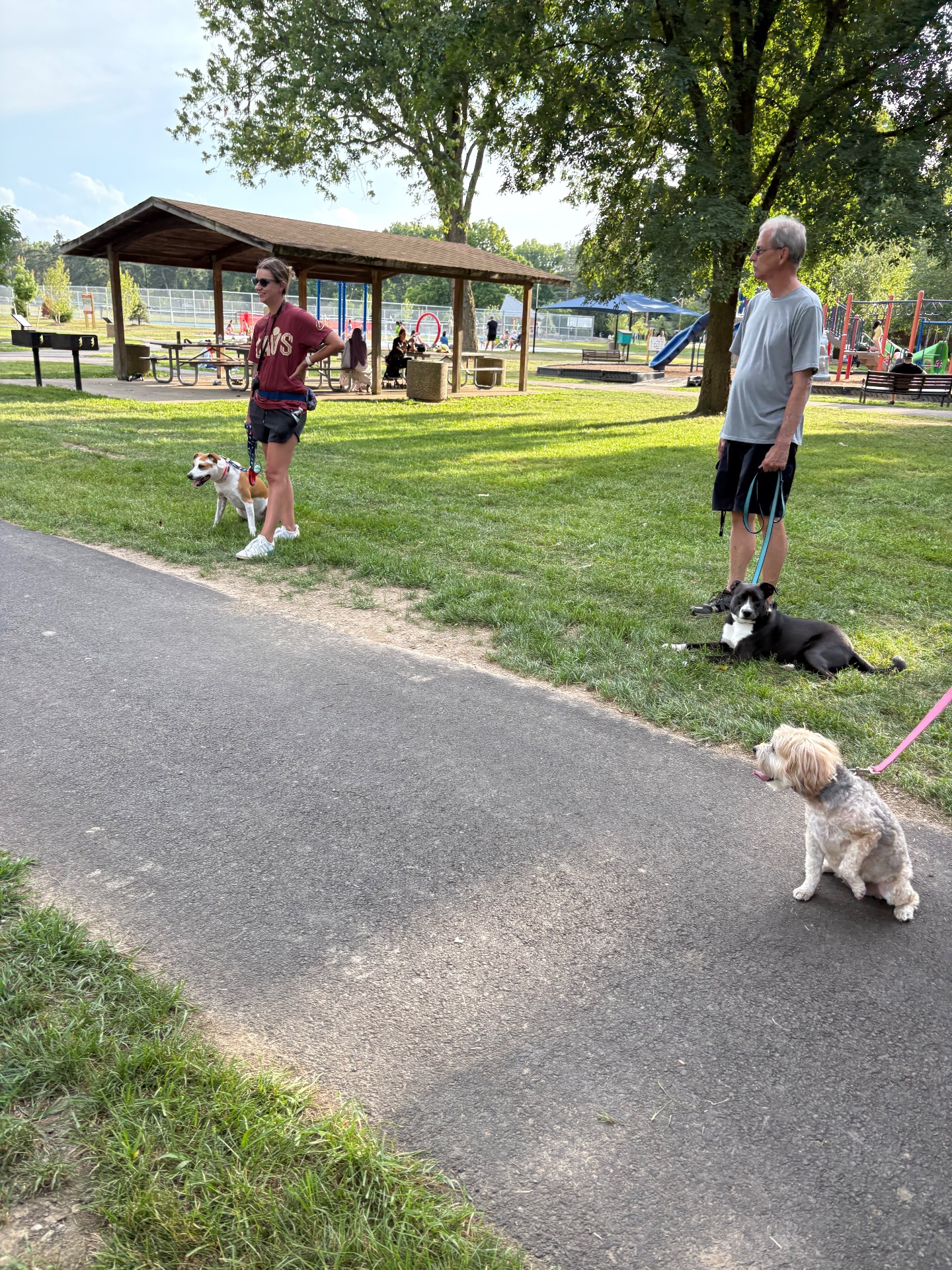 The k9 expert, Dog Training in North Olmsted, OH - photo 6