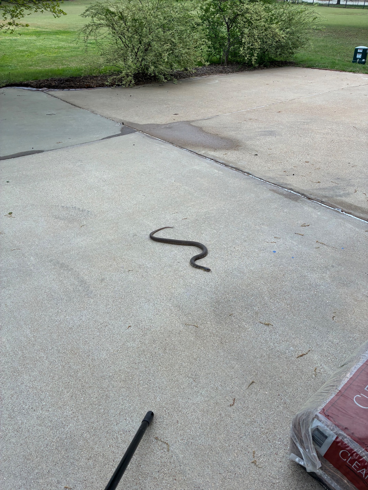 Pest Gurus, Animal Trapping in Duncanville, TX - photo 5