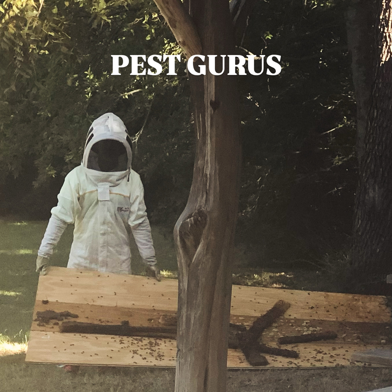Pest Gurus, Animal Trapping in Duncanville, TX - photo 7