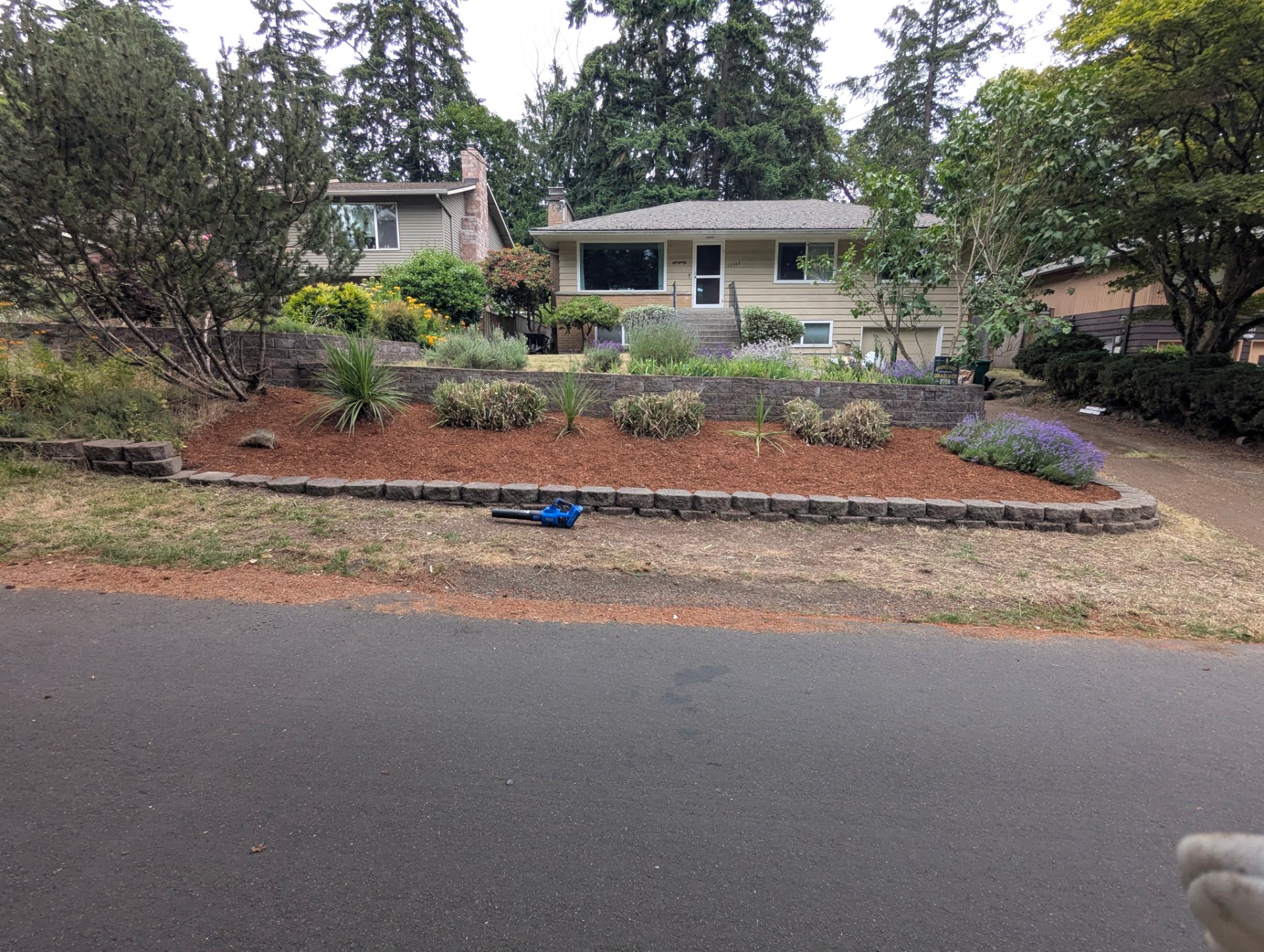 Reid's Lawn & Leaf, Outdoor Landscaping and Design in Seattle, WA - photo 2