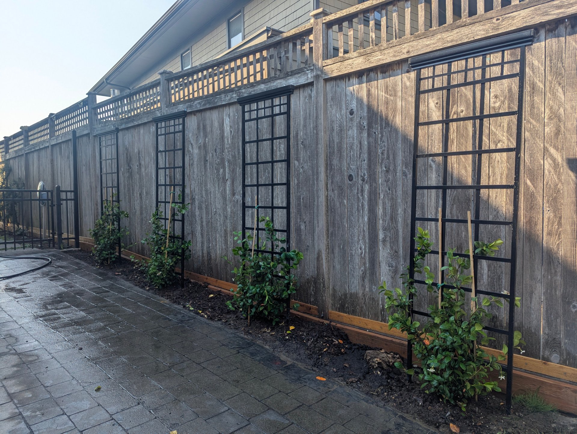 Reid's Lawn & Leaf, Outdoor Landscaping and Design in Seattle, WA - photo 4