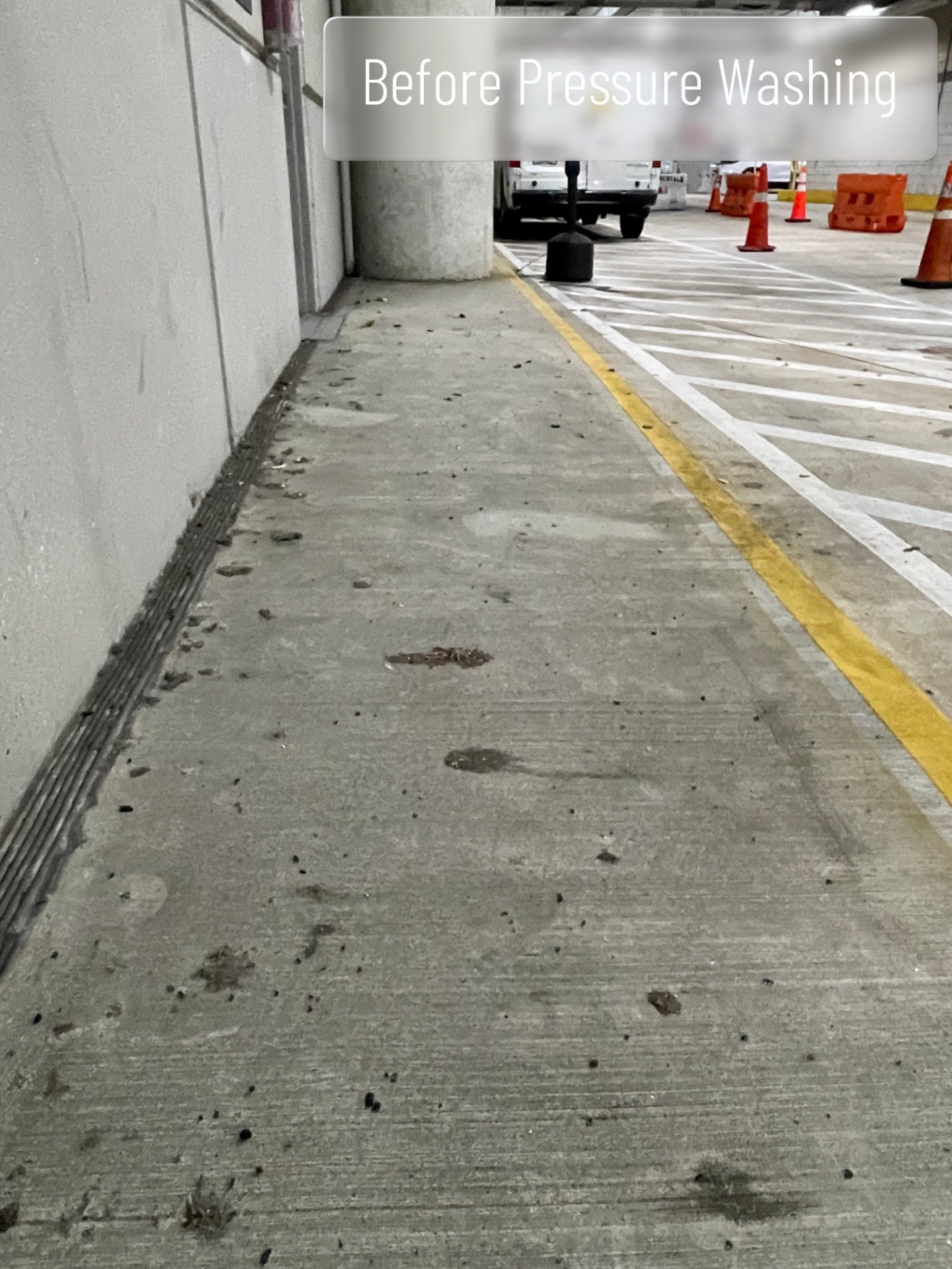 Environmental Pressure Washing, Soft Washing in Tampa, FL - photo 3