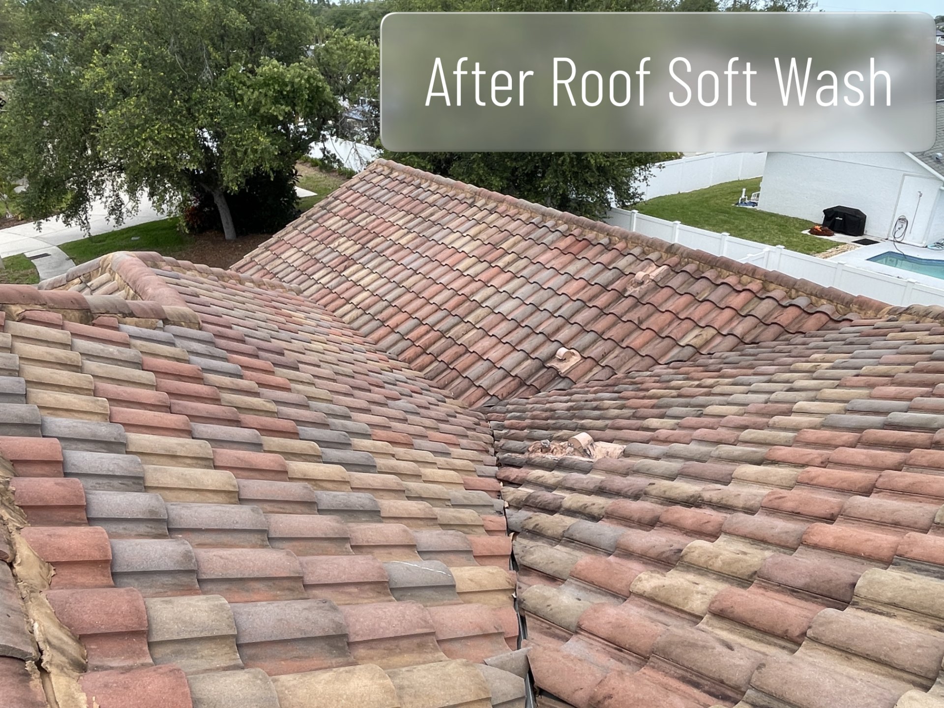 Environmental Pressure Washing, Soft Washing in Tampa, FL - photo 6
