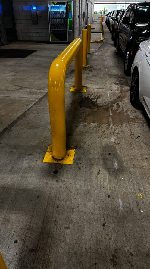 Environmental Pressure Washing, Soft Washing in Tampa, FL - photo 7