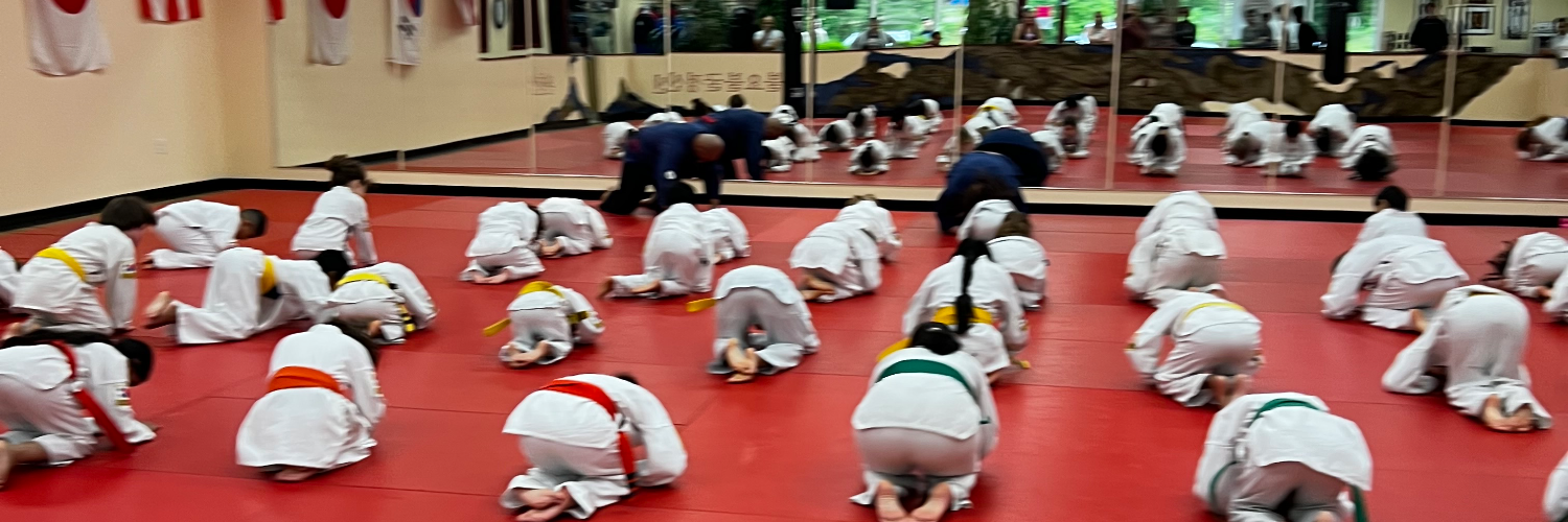 Richmond traditional martial arts cover photo