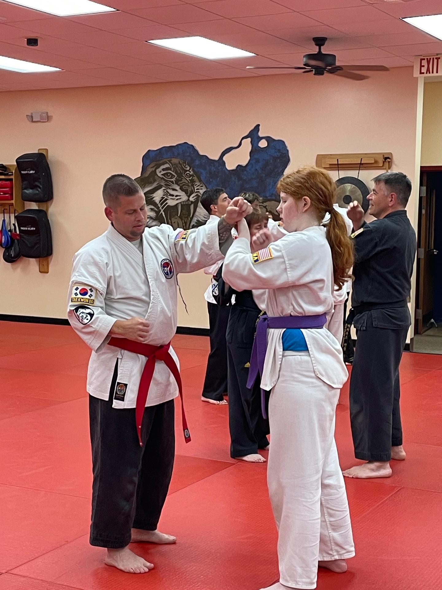Richmond traditional martial arts, College Admissions Counseling in Mechanicsville, VA - photo 7