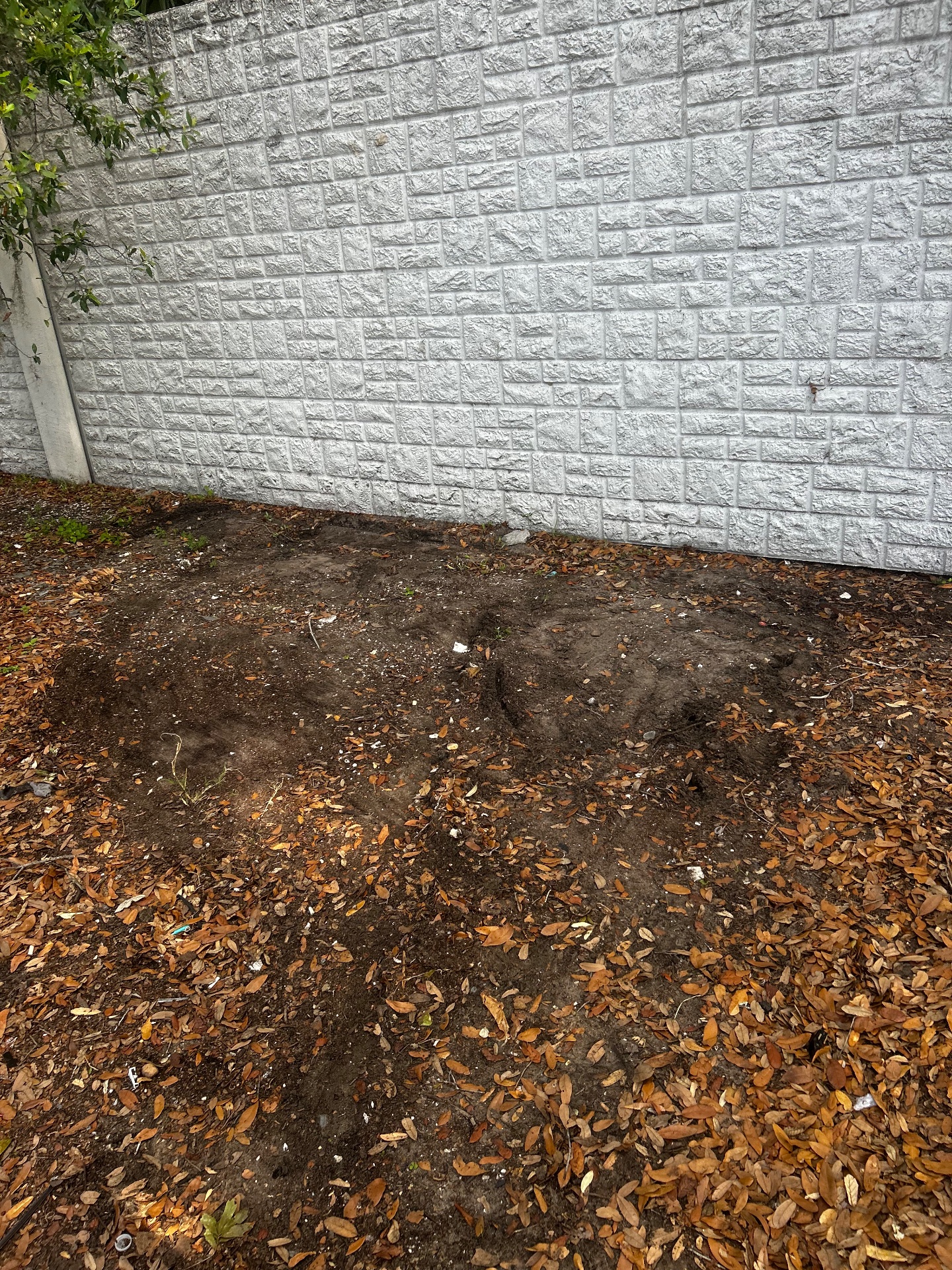 813 Junk Solutions, Residential Junk Removal in Tampa, FL - photo 6