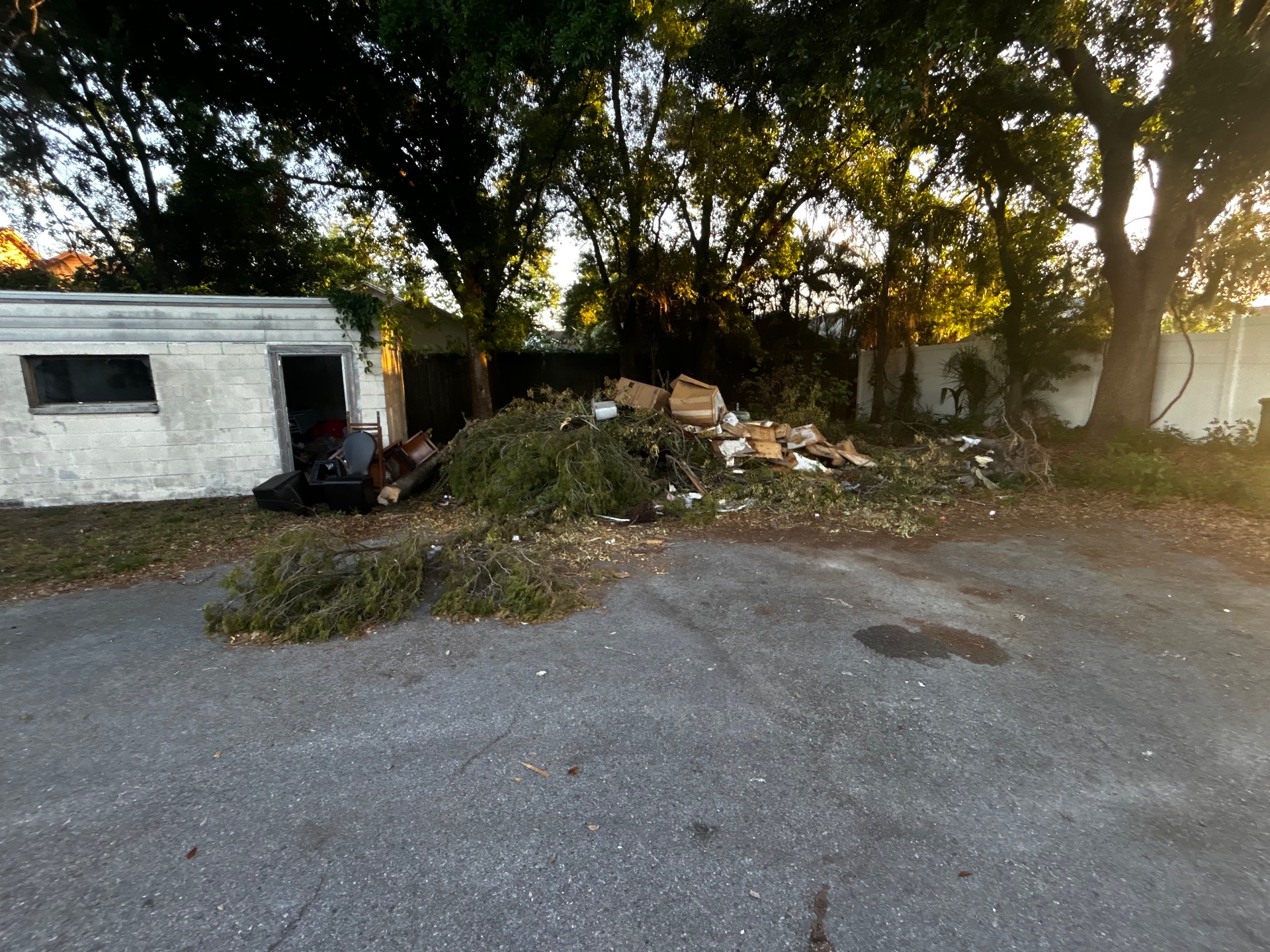 813 Junk Solutions, Residential Junk Removal in Tampa, FL - photo 8
