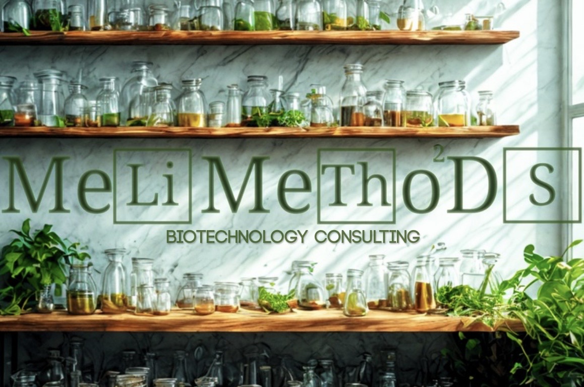 MeLi MeThoDS cover photo