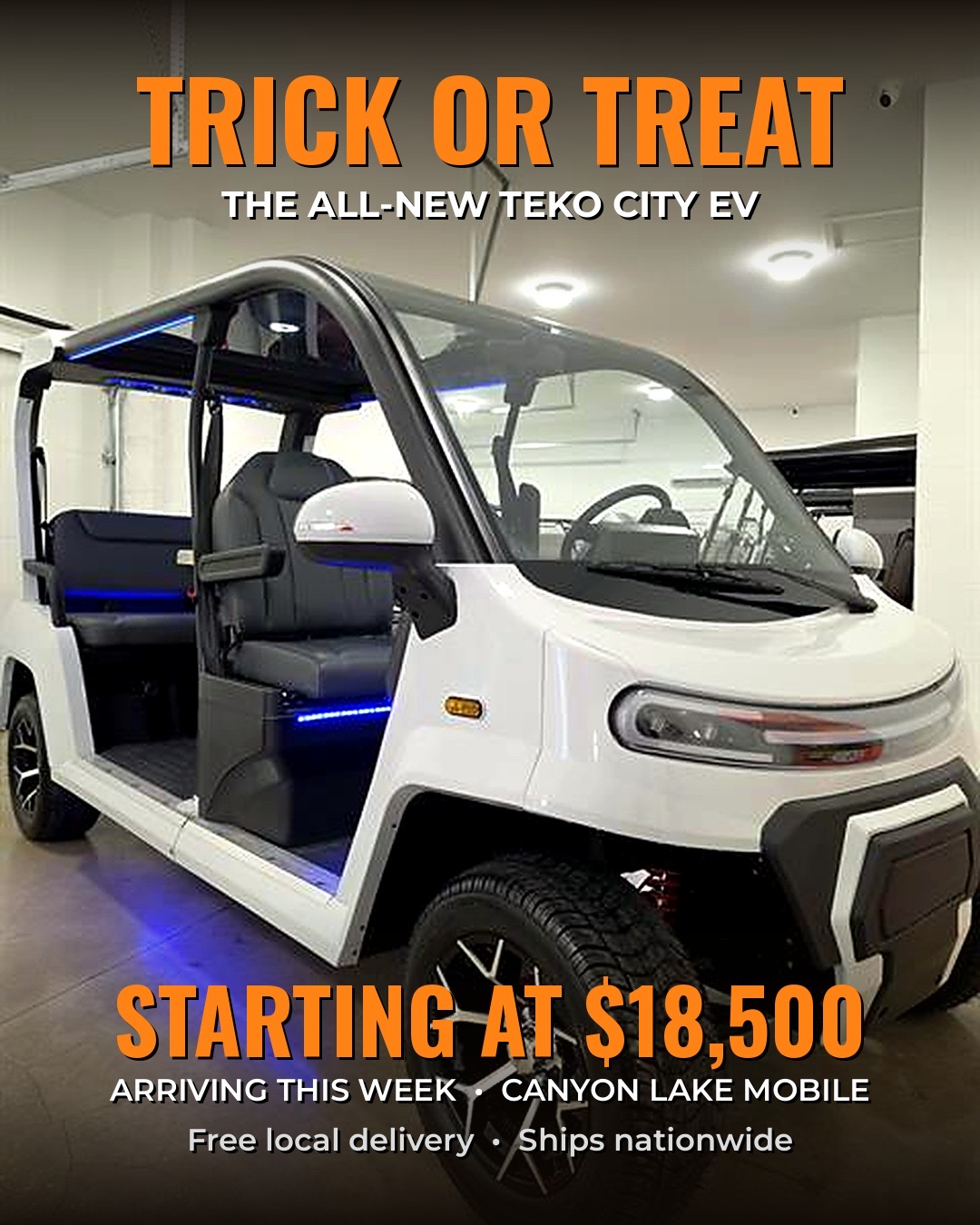CLM Golf Cart, sales and repair, Golf Cart Dealers in Canyon Lake, CA - photo 2