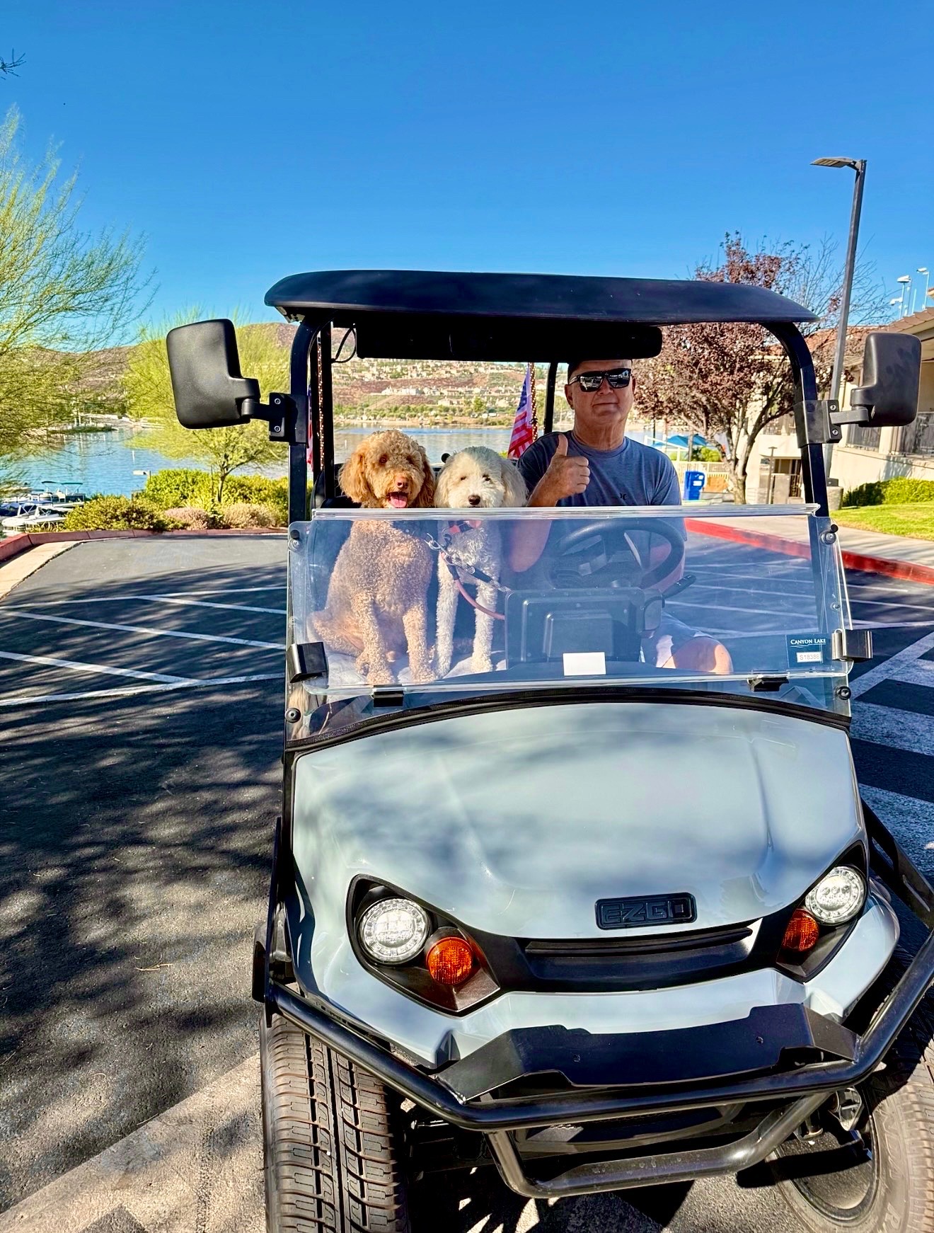 CLM Golf Cart, sales and repair, Golf Cart Dealers in Canyon Lake, CA - photo 3