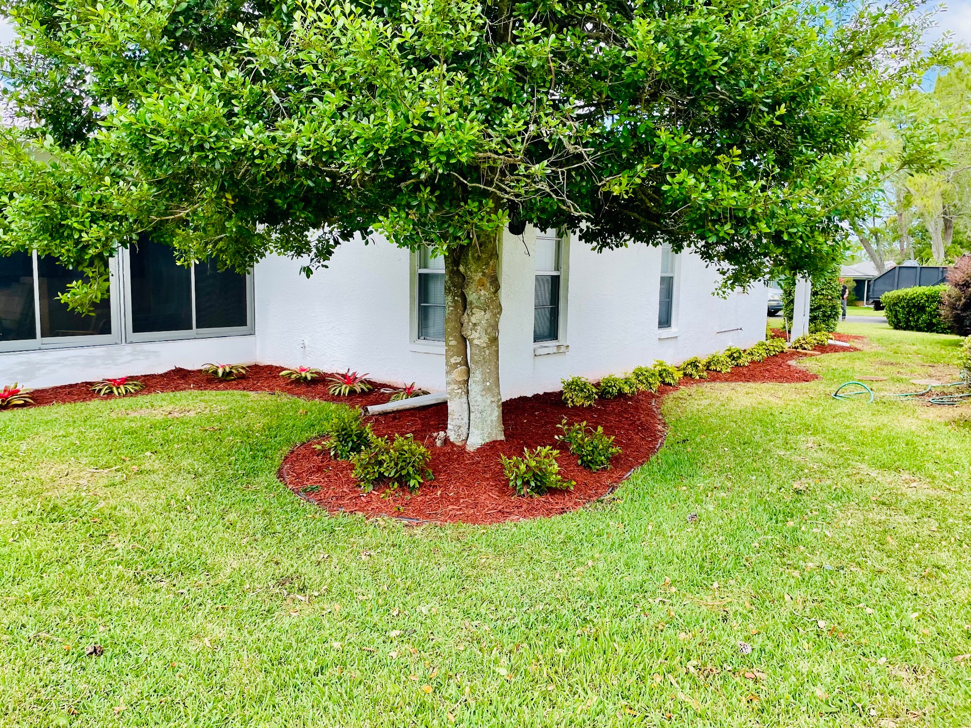 Elite Landscape and irrigation, Outdoor Landscaping and Design in Hudson, FL - photo 1